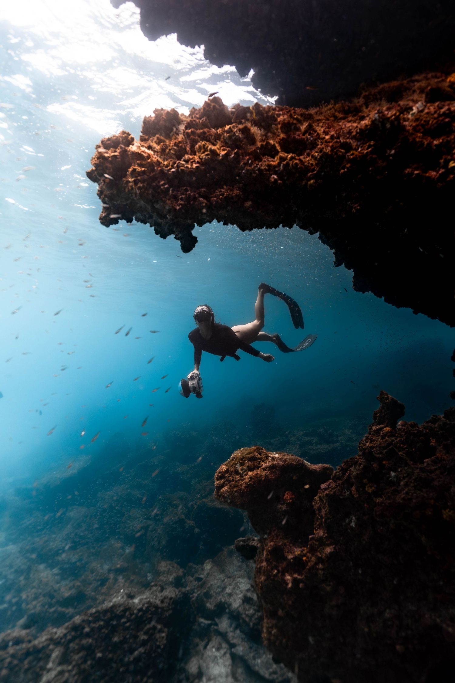Underwater view of scuba divers exploring coral reefs beneath overhanging rocks in clear blue tropical waters.