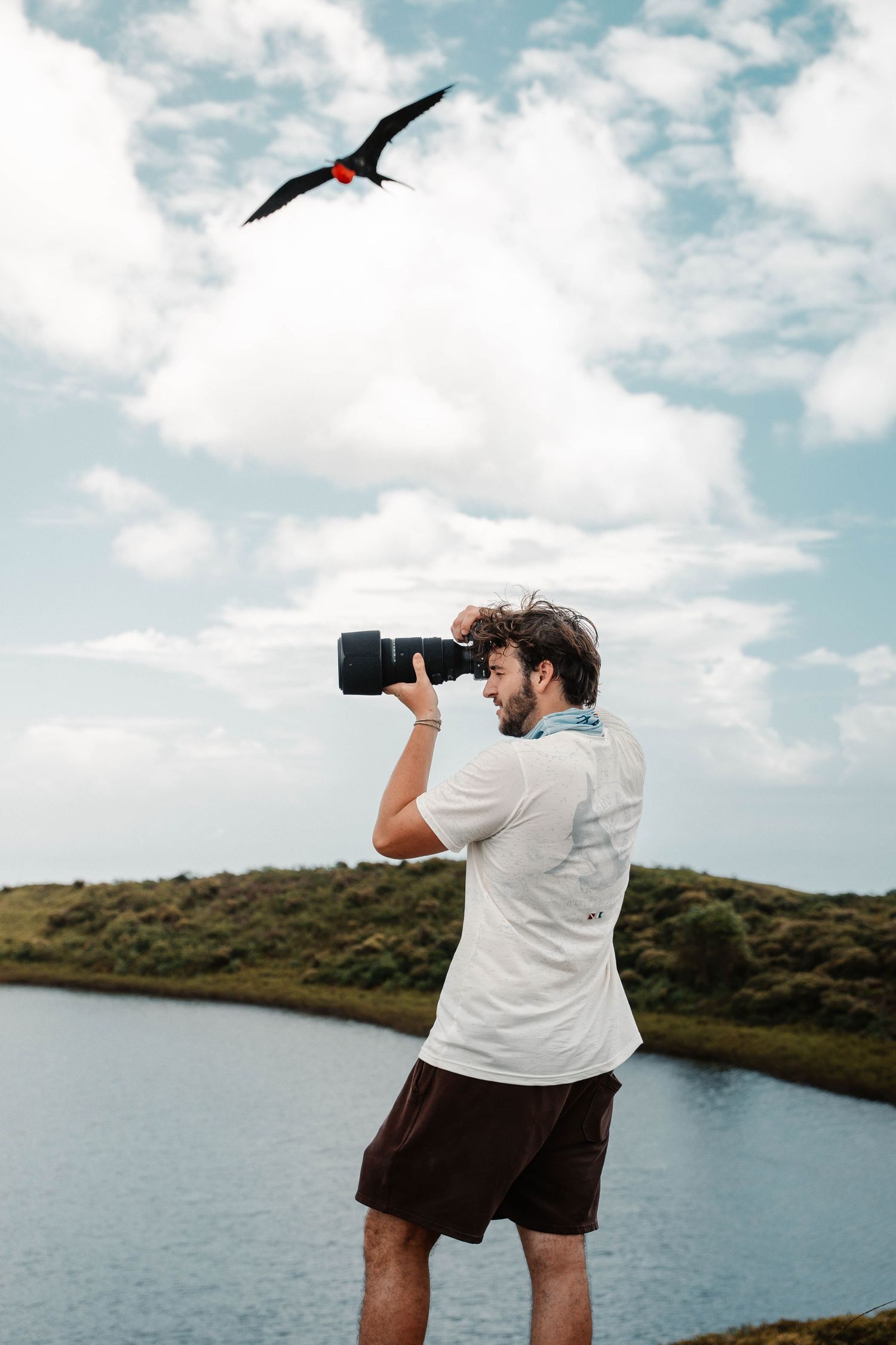 Photographer with telephoto lens captures images of seabirds along coastal shoreline.