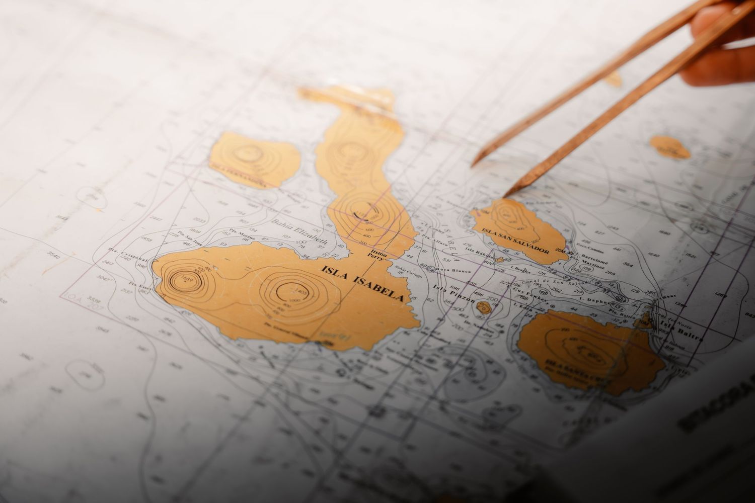 Close-up view of a map