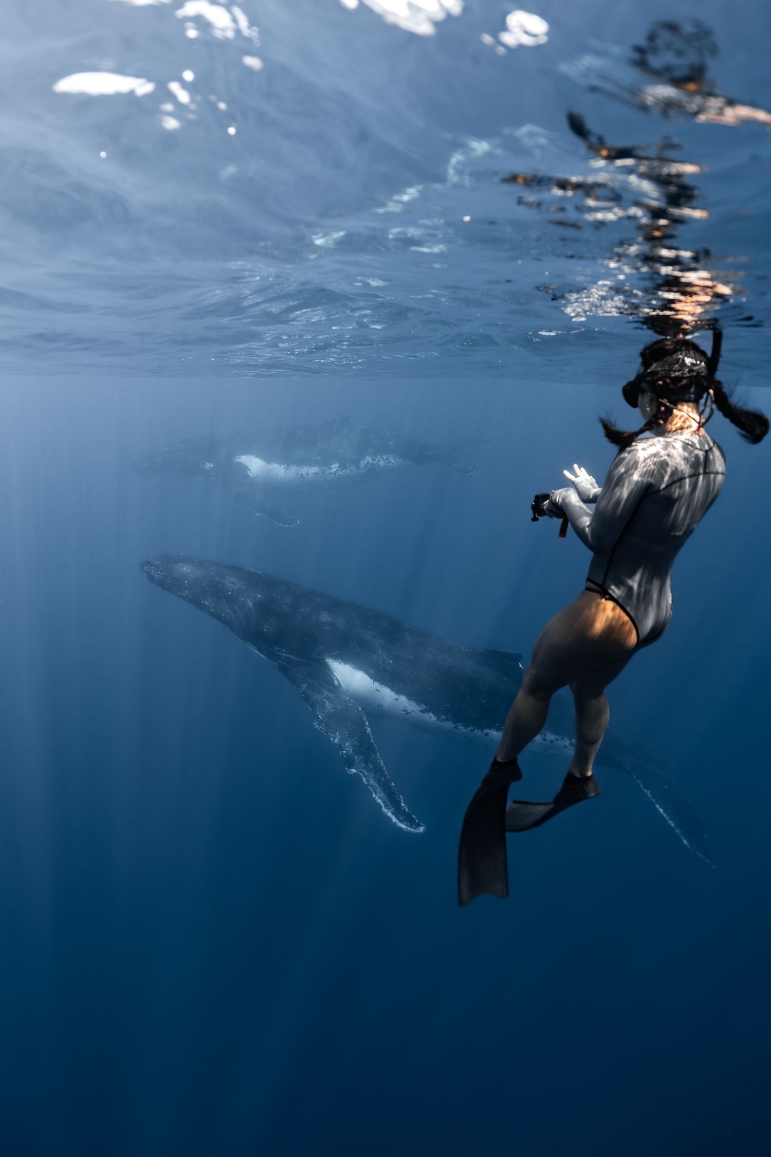Freediver swimming alongside a massive humpback whale in clear blue ocean waters, captured from an underwater perspective.