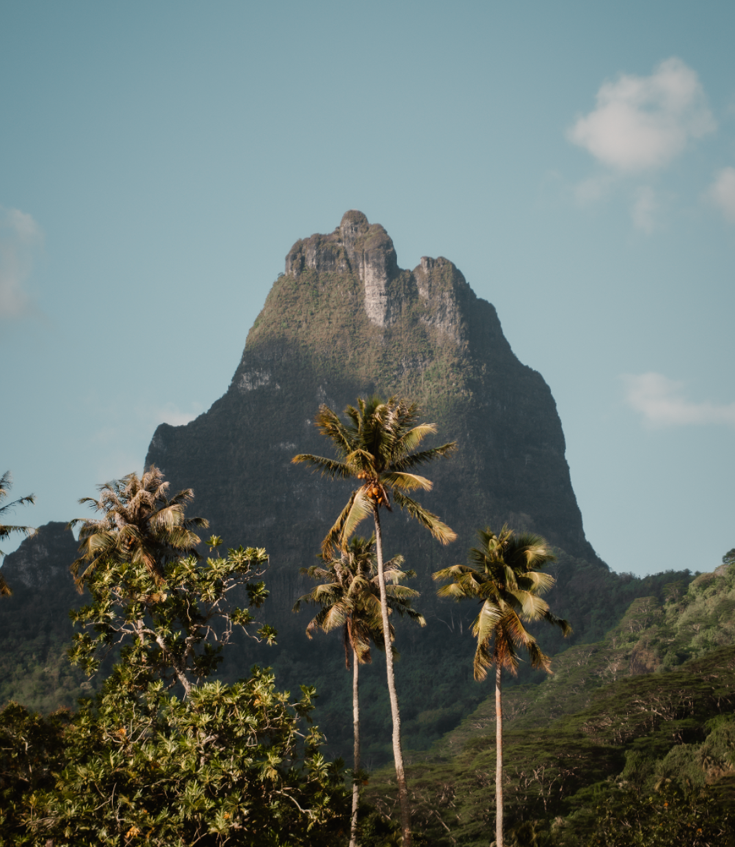 Dramatic mountain peaks rise above tropical palm trees against a blue sky.
