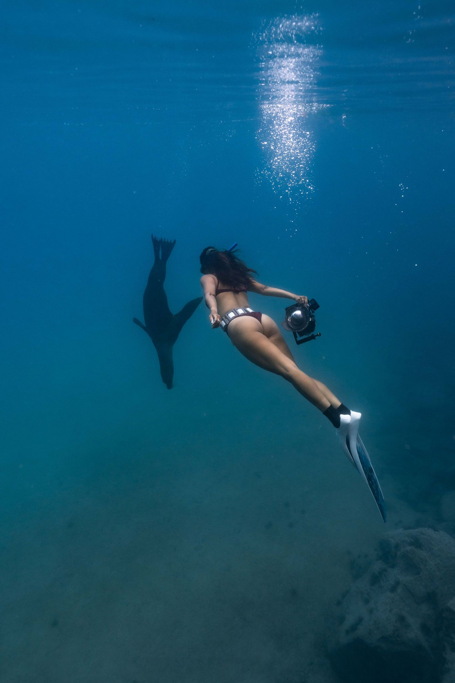 A scuba diver swims gracefully underwater in turquoise blue waters near a sandy ocean floor.