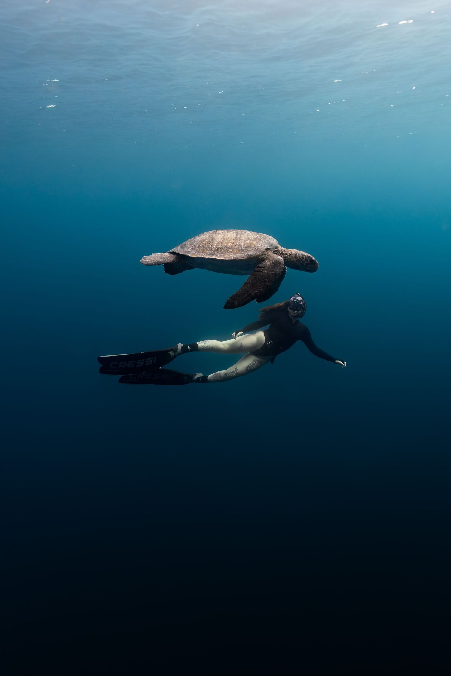 A freediver swims alongside a sea turtle in clear blue ocean water, wearing fins and a wetsuit.
