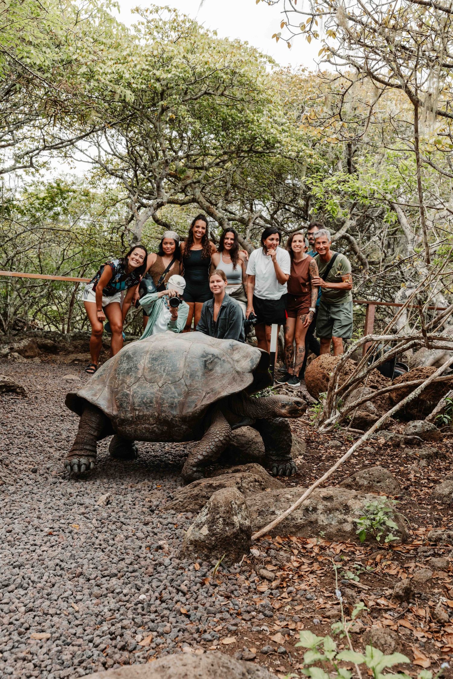 A group of tourists gather around a giant Galapagos tortoise on rocky terrain surrounded by vegetation.