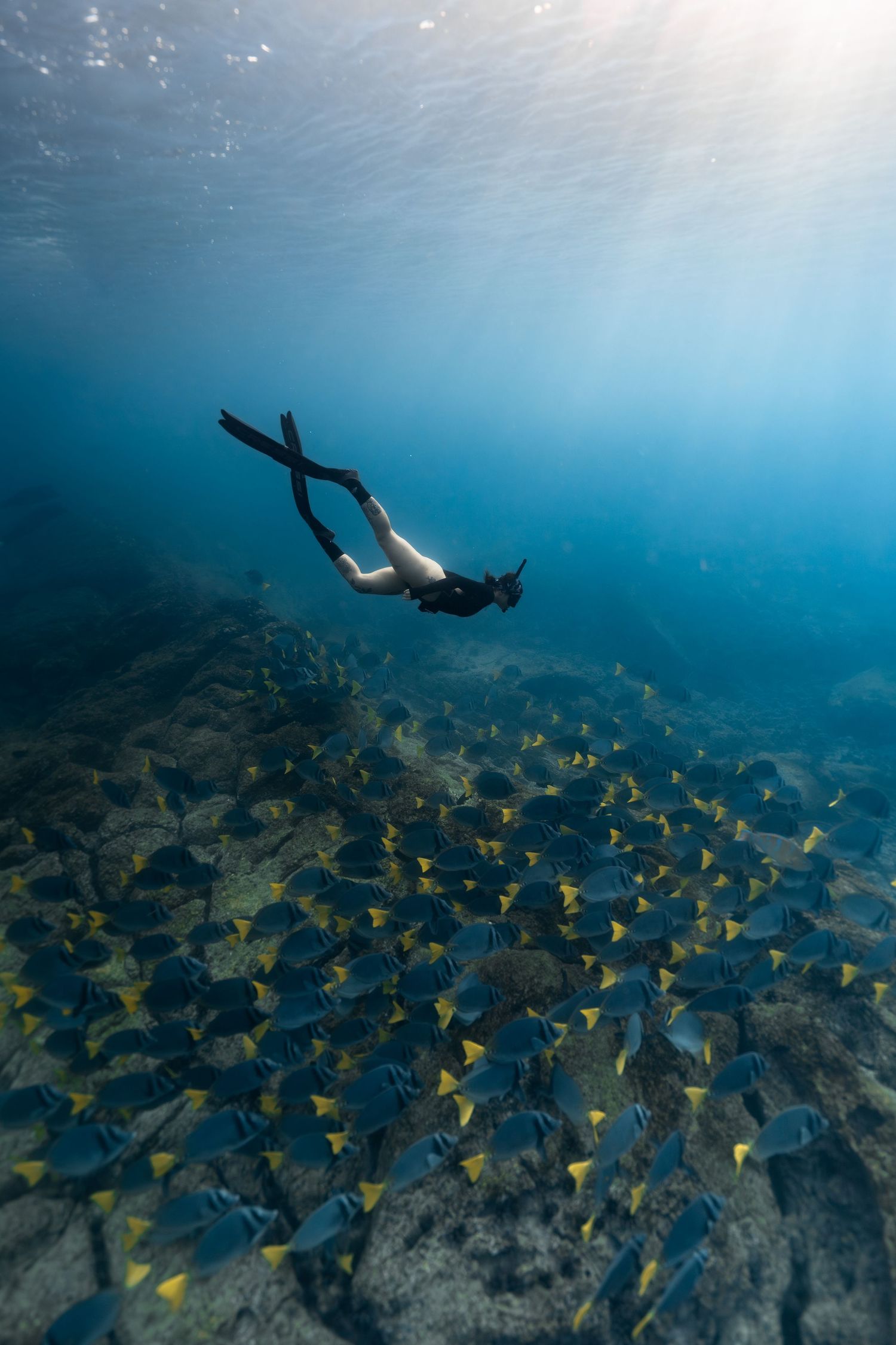 Freediver swimming underwater above a large school of yellow and blue tropical fish near a rocky reef.
