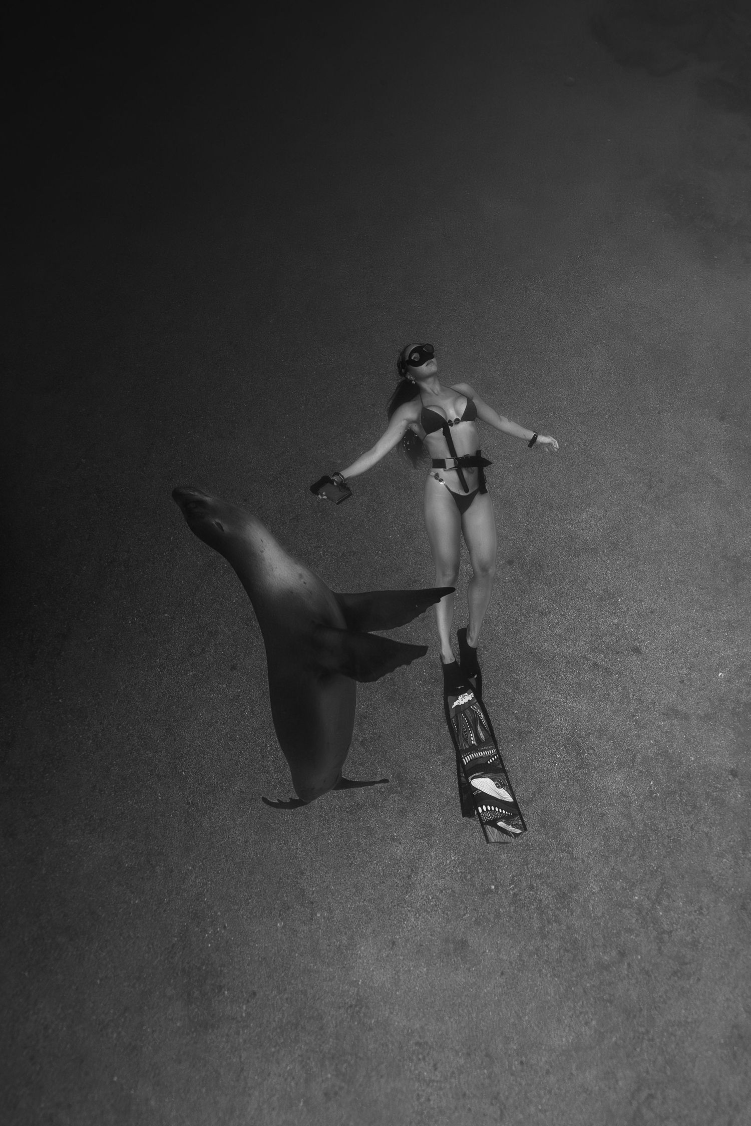 Black and white underwater photo of a woman in bikini with fins encountering a shark on the ocean floor.