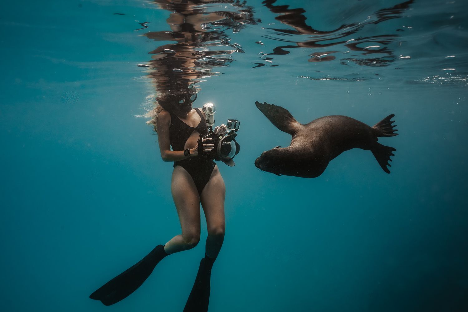 Underwater view of swimmers exploring the vibrant turquoise waters near a rocky shoreline.