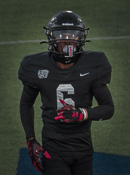 Football players in black uniforms and helmets stand on field during game.