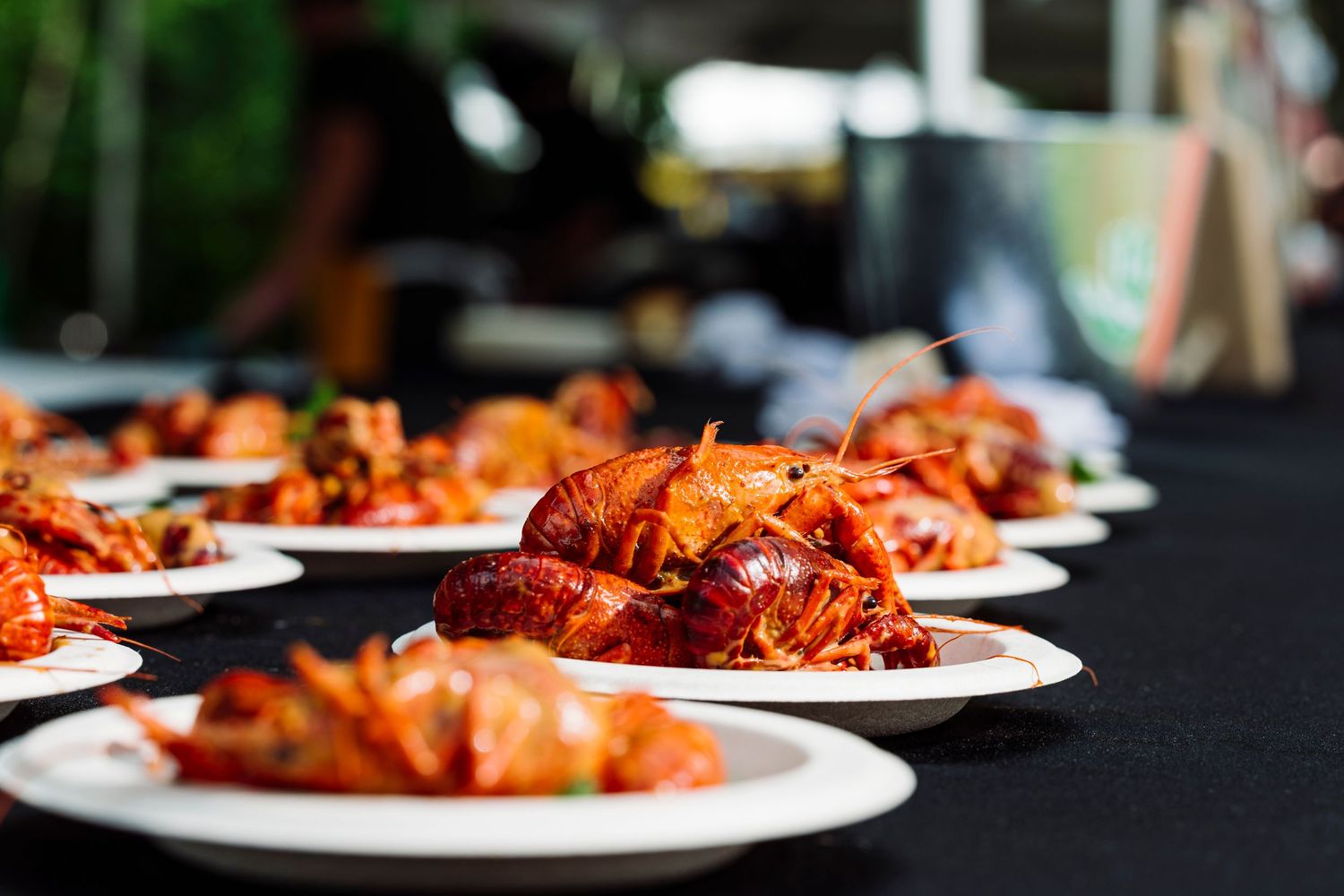 Several glazed meats arranged on white plates in a row on a black tablecloth.