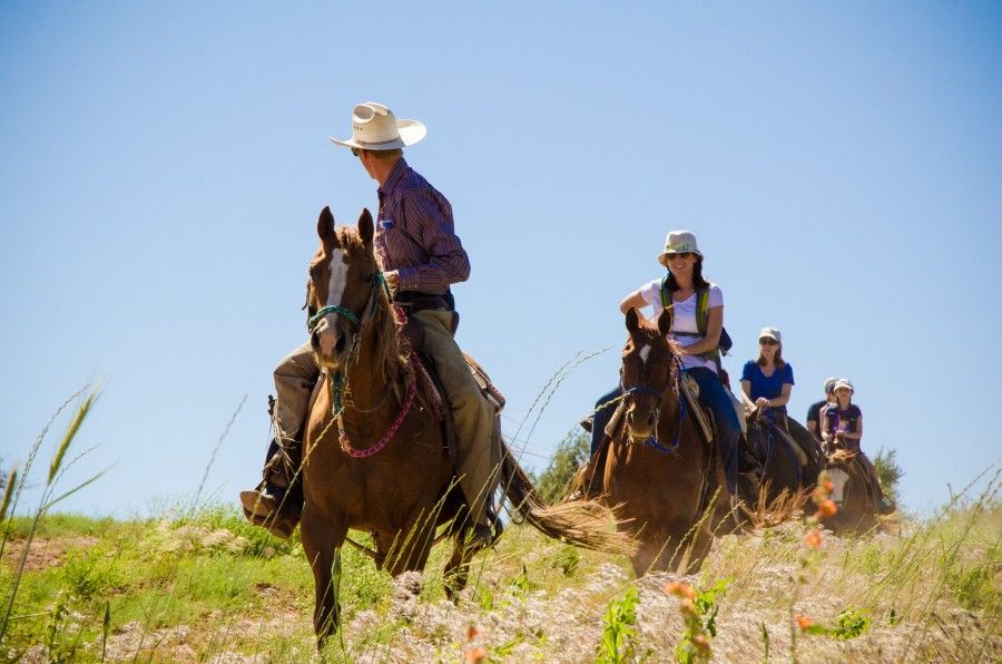 Group of riders on horseback trail riding through green fields under a clear blue sky on a sunny day.