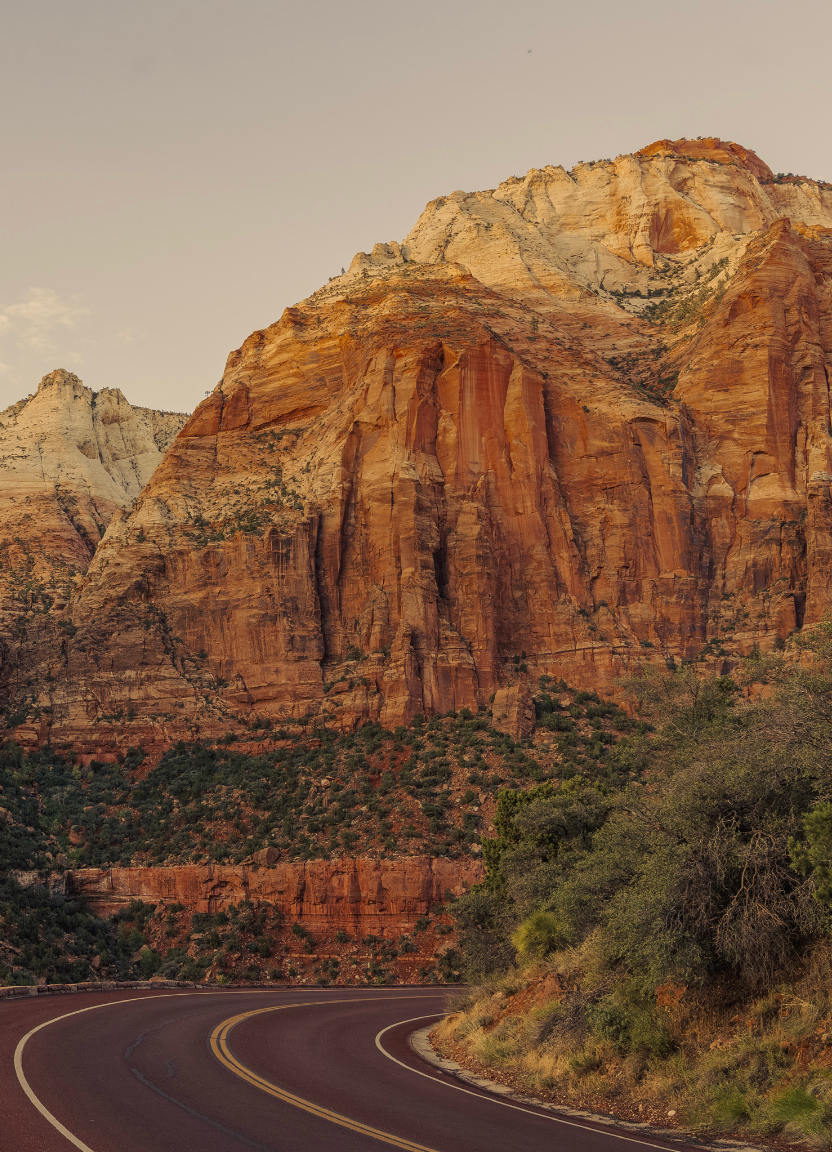 Winding road through Zion National Park with towering red sandstone cliffs and desert vegetation at golden hour.
