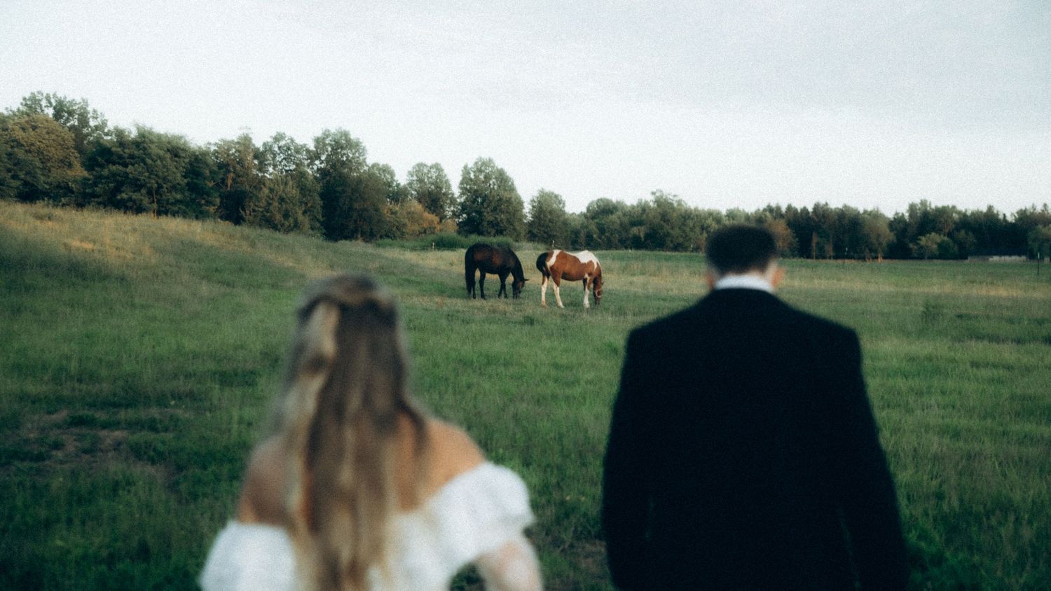 Panoramic view of a couple in wedding attire in a vast green field.