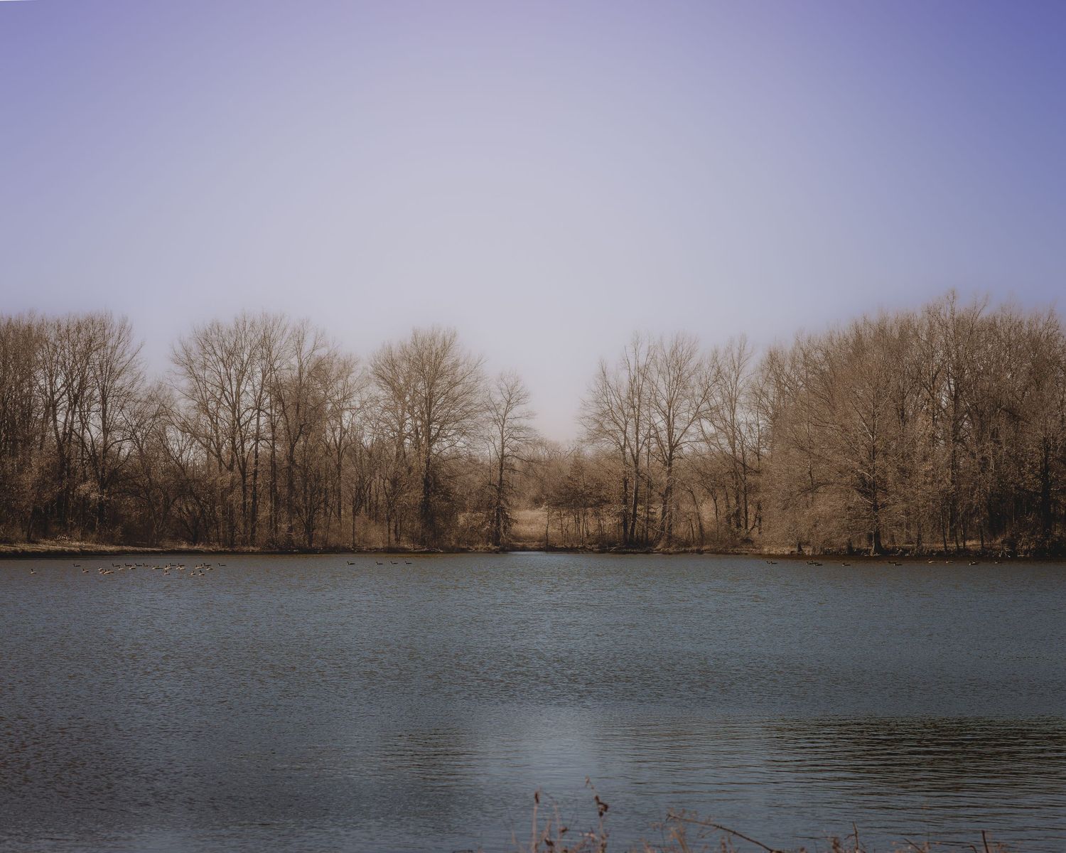 A serene panoramic view of a lake surrounded by bare winter trees along the shoreline in muted tones.