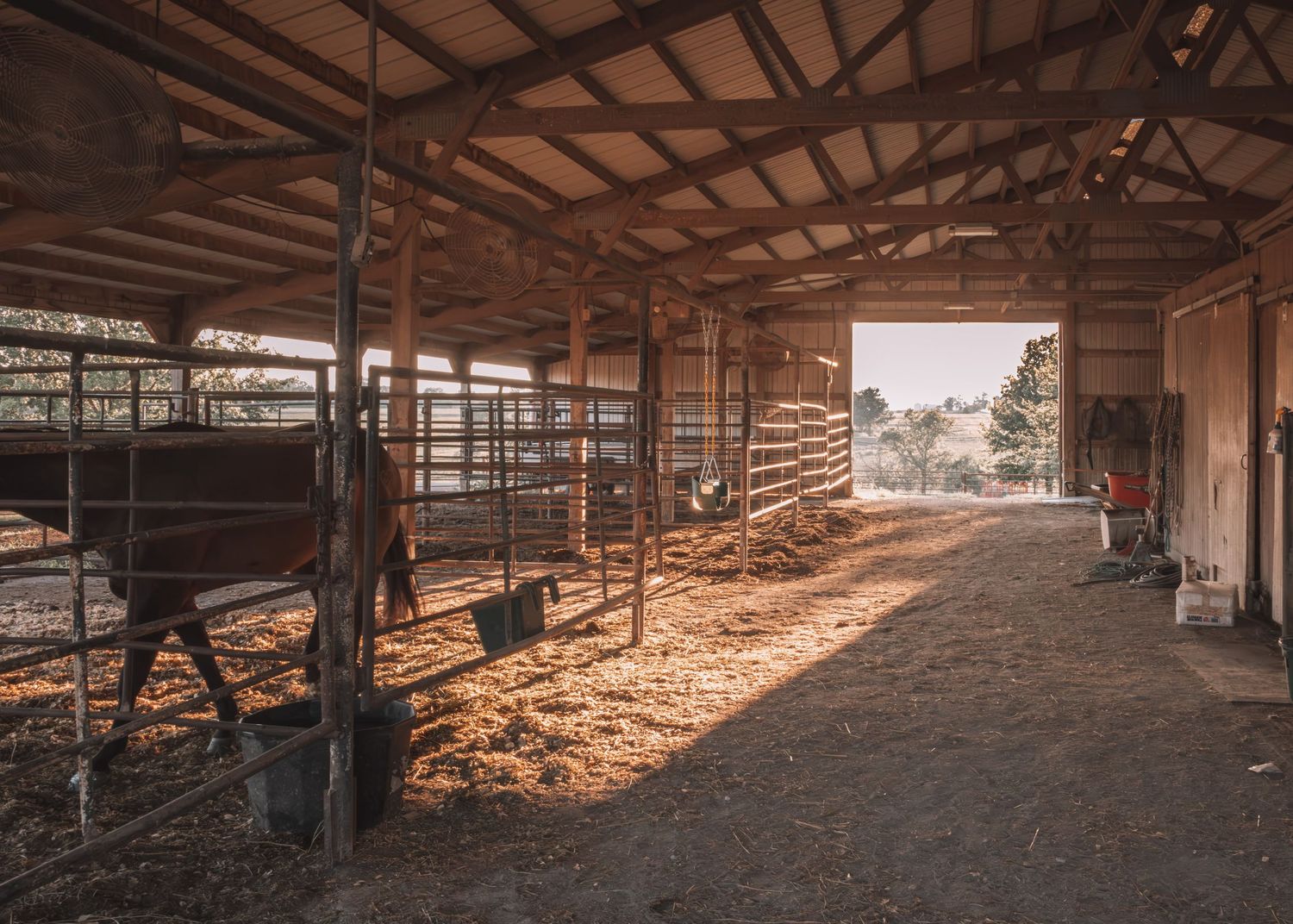 Sunlit rustic barn interior with wooden stalls, metal gates, and hay-covered floor on a rural farm.