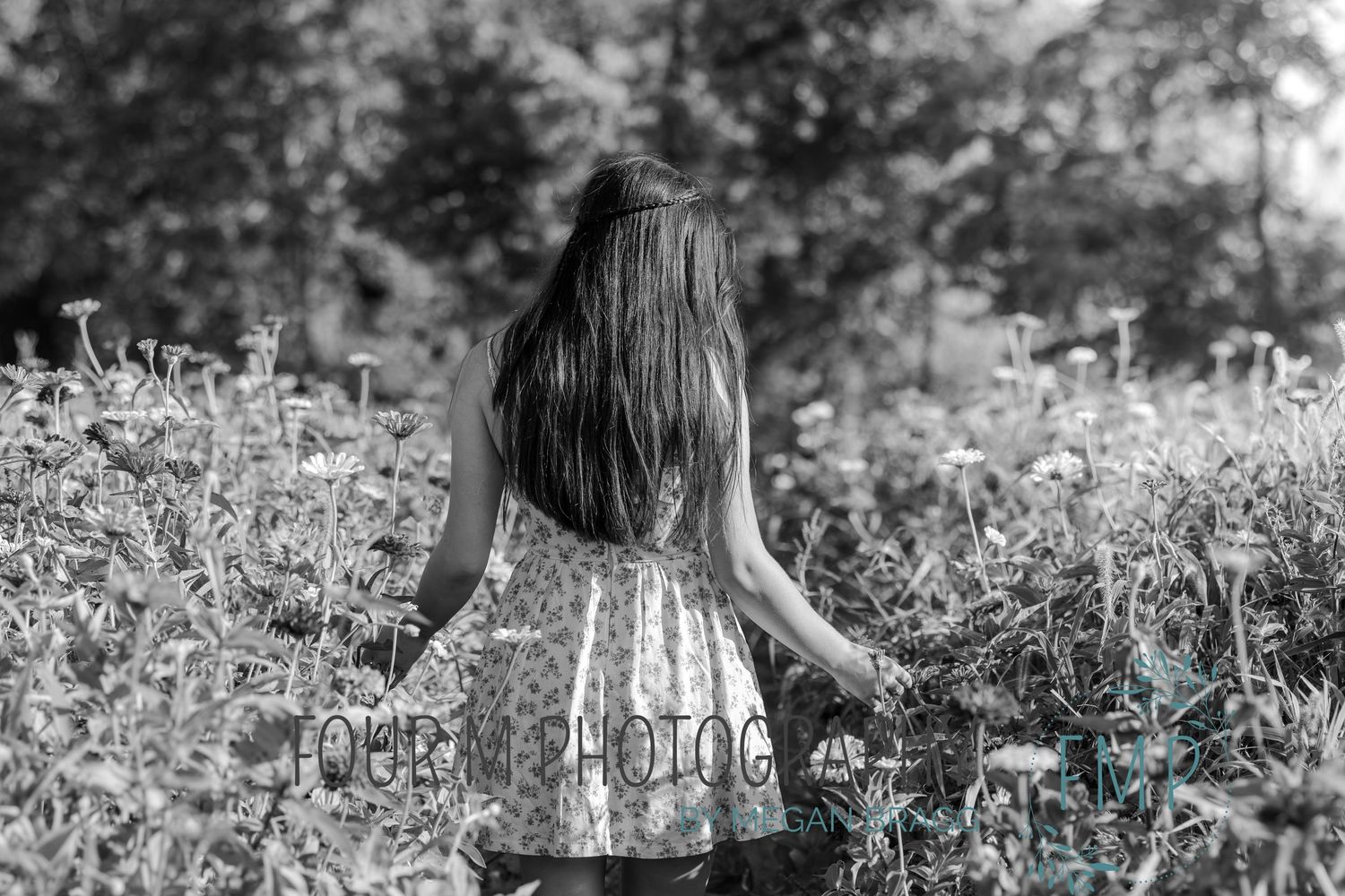 A series of black and white photos showing someone walking through a wildflower meadow on a sunny day.