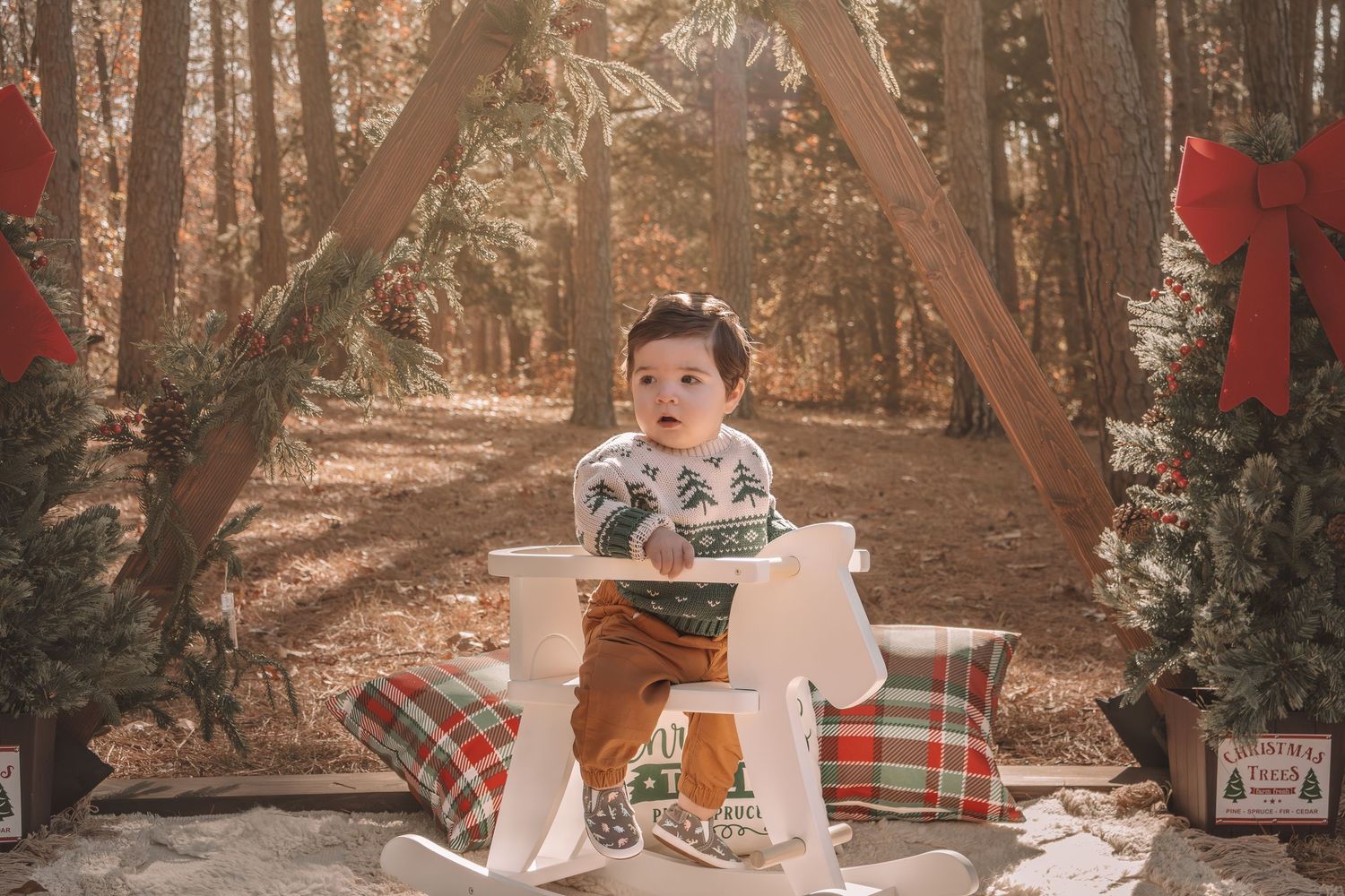 A child sits on a plaid blanket in a rustic woodland setting with holiday decorations and soft lighting.