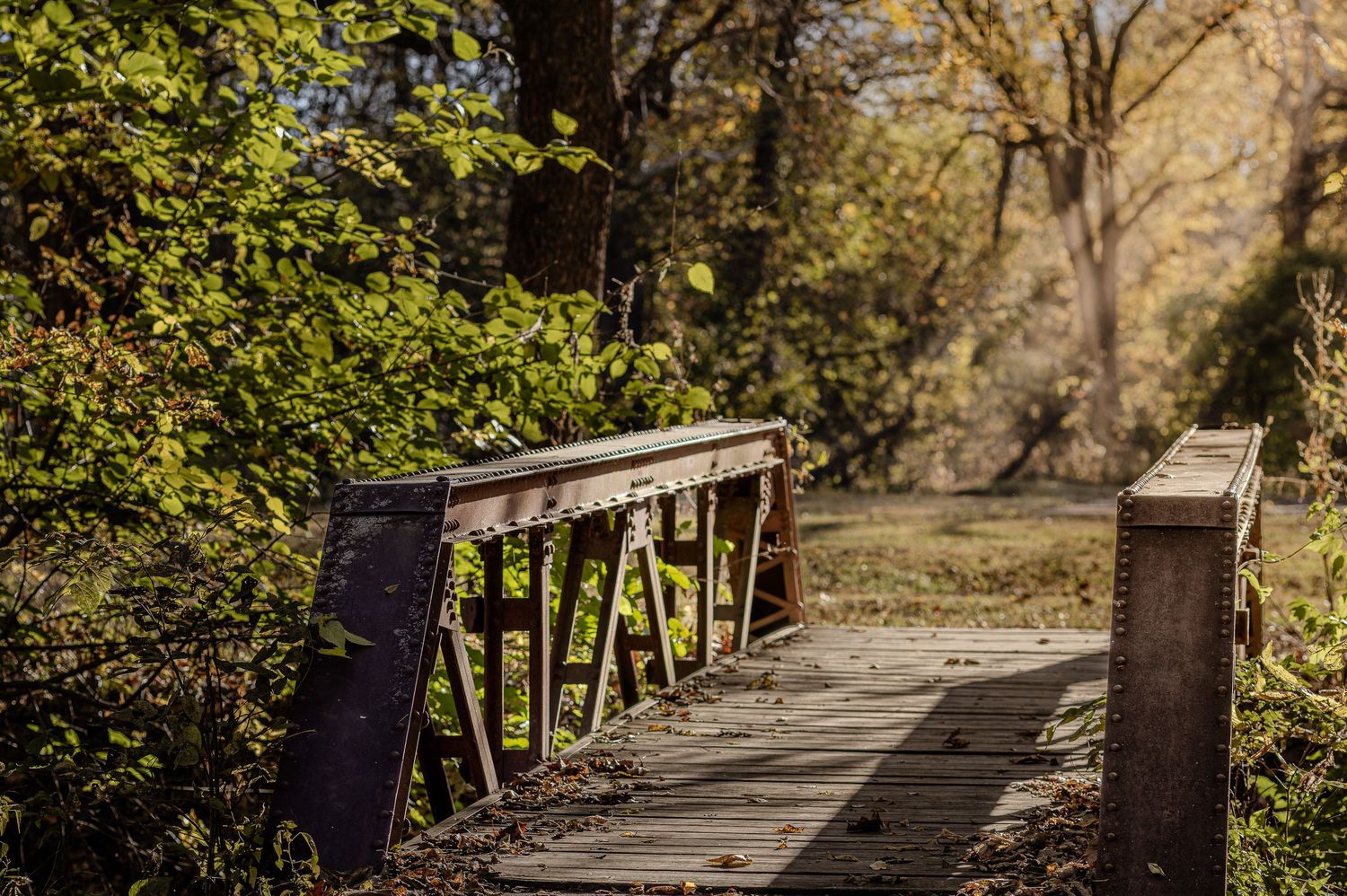 A scenic tree-lined pathway with wooden fence posts leads through a tranquil autumn landscape.