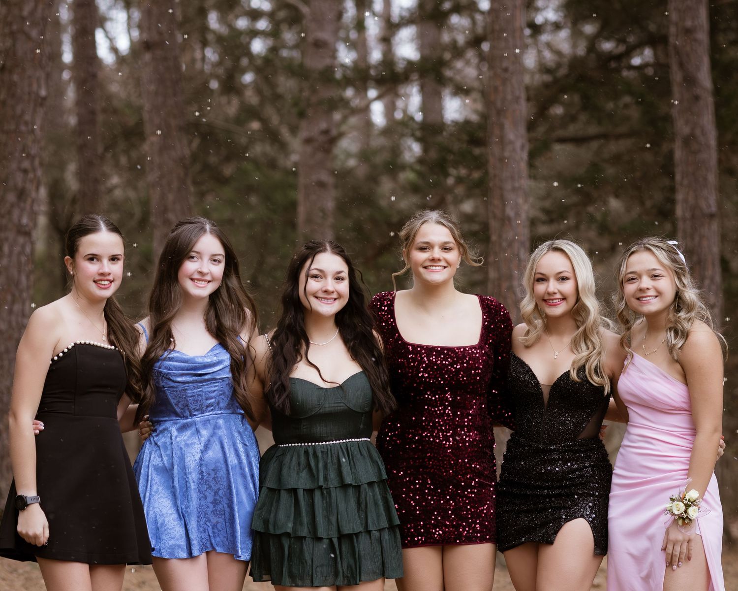 A group of six friends pose together in formal dresses in front of a forest backdrop.