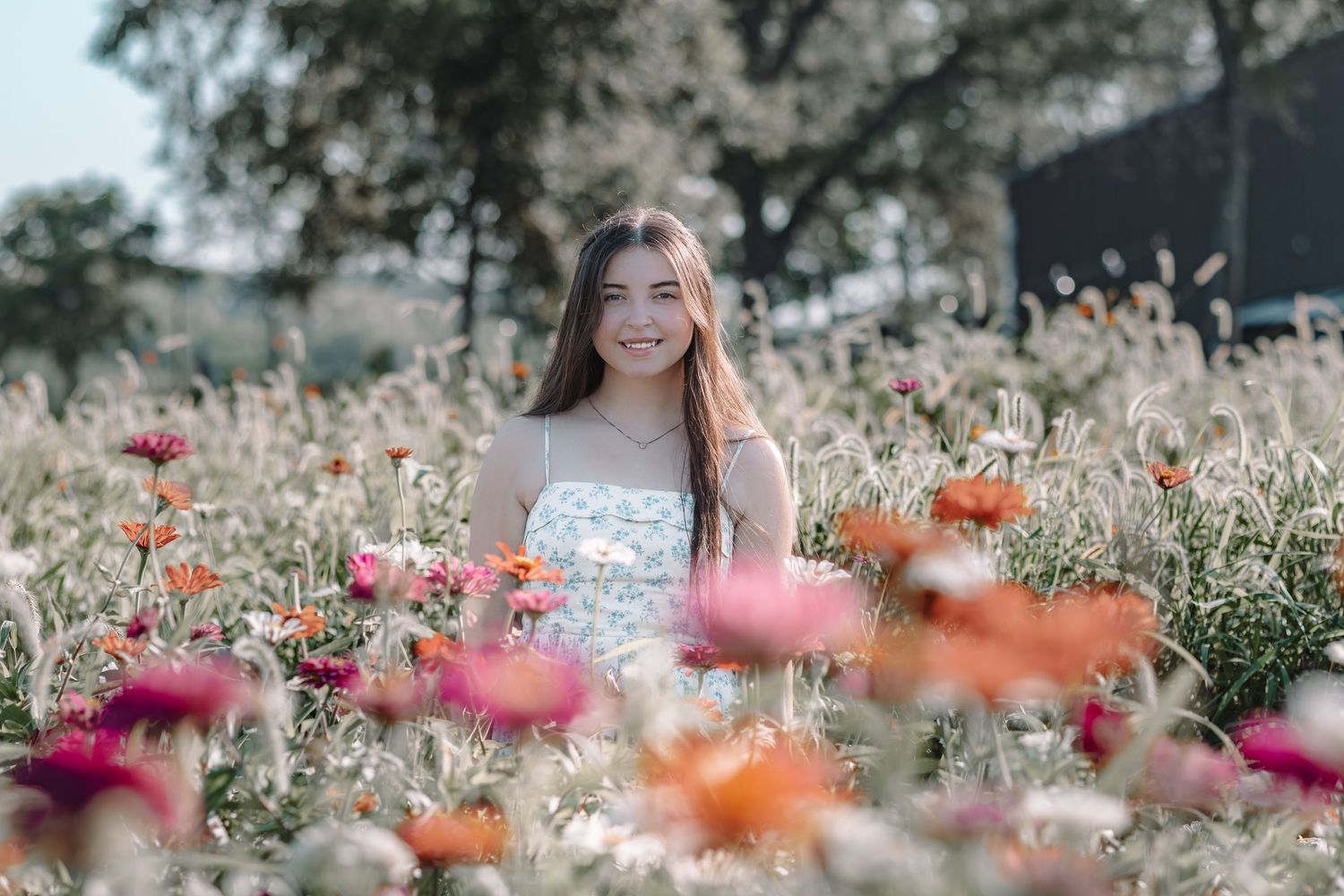 Vibrant orange and pink flowers bloom in a meadow with soft bokeh lighting effects.