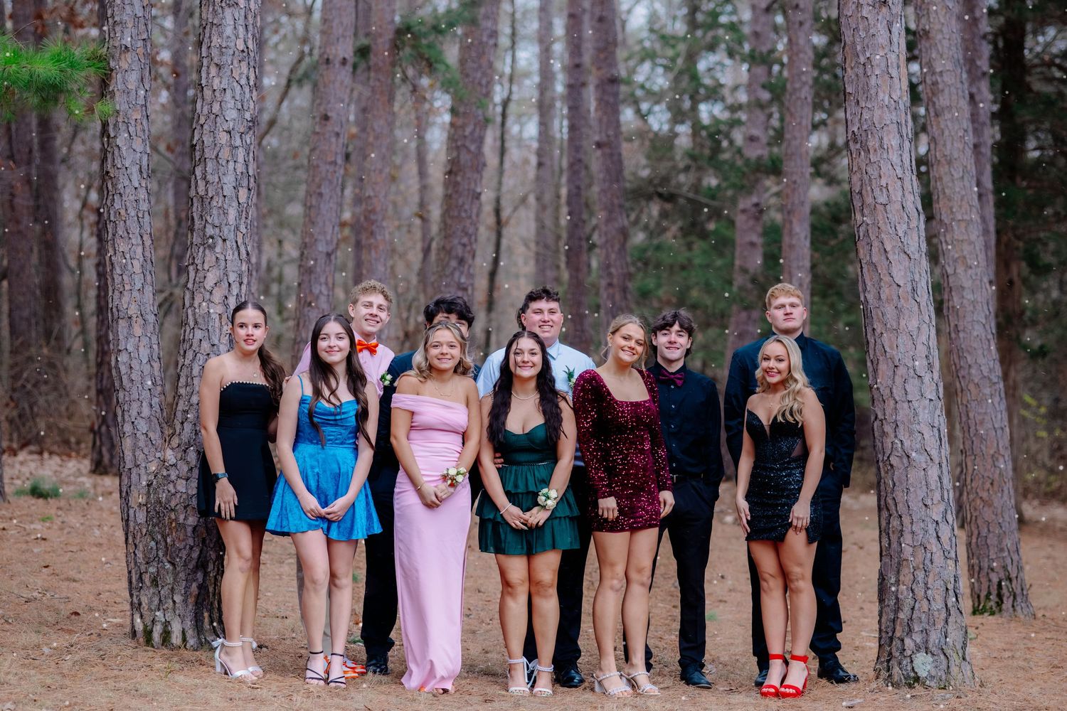 Group of friends posing together in a wooded forest setting wearing formal attire.