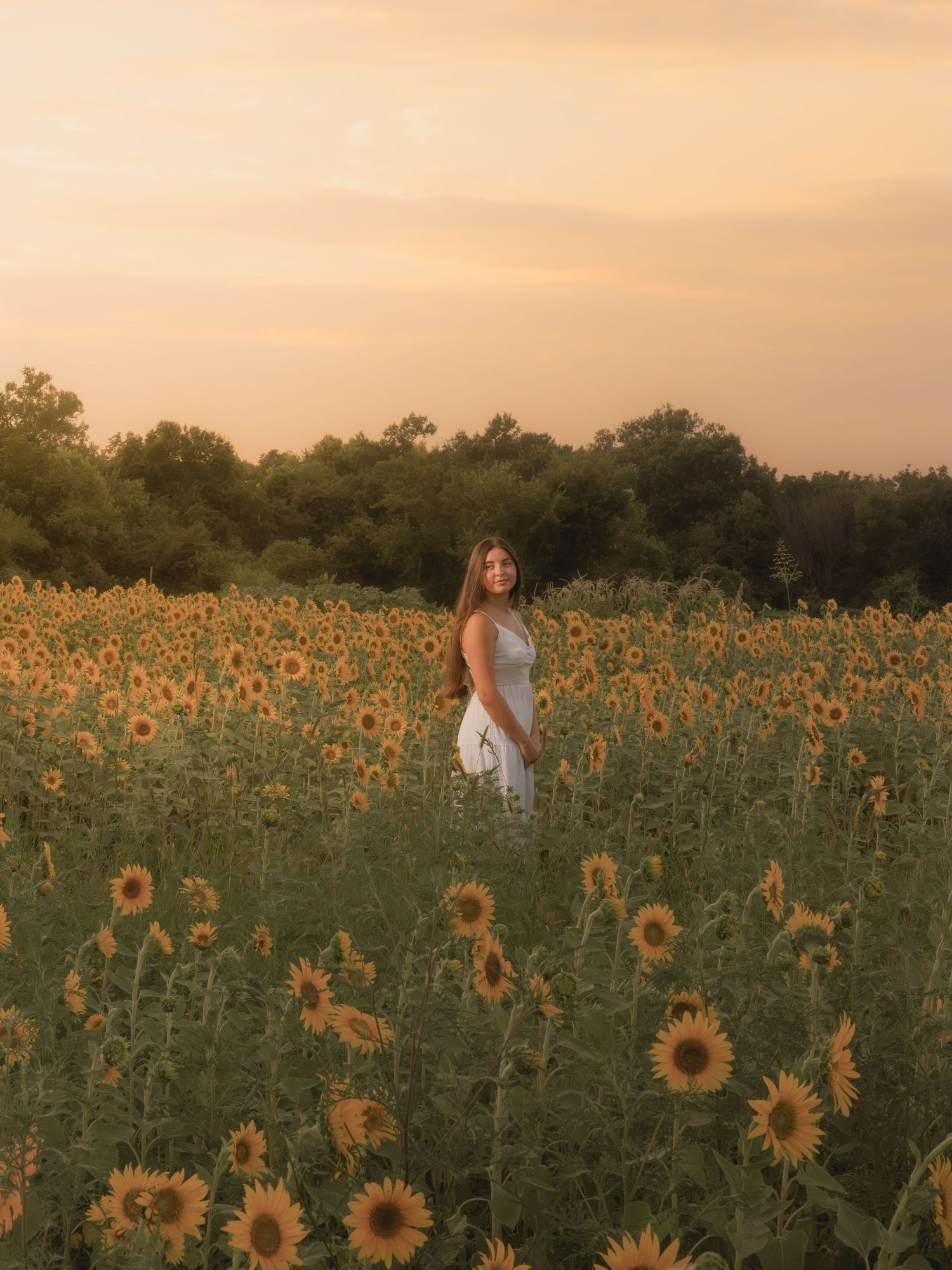 A woman in a white dress stands among golden sunflowers at sunset with trees in the background.