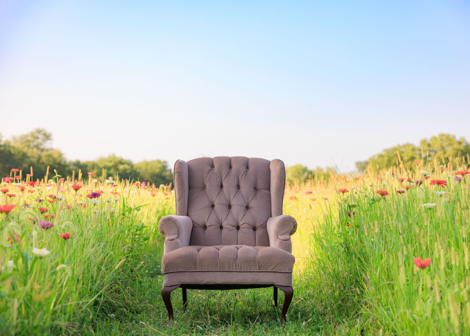 A tufted gray wingback armchair sitting in a lush green meadow with red wildflowers under a clear blue sky.
