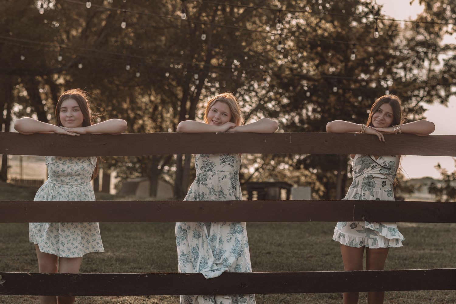A wooden fence creates leading lines through a serene outdoor setting at golden hour.
