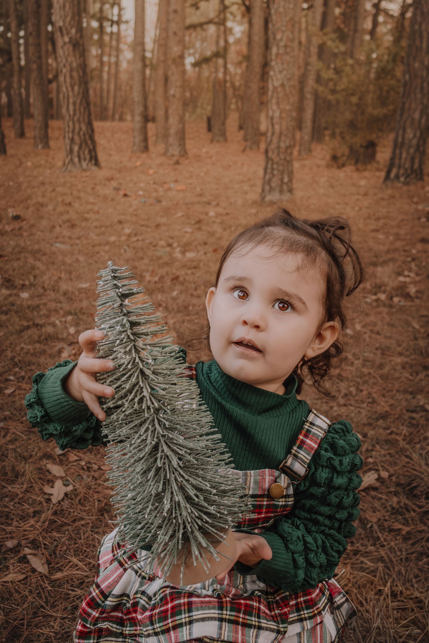 A small child in a green sweater and plaid dress holds a miniature artificial Christmas tree in a forest setting.