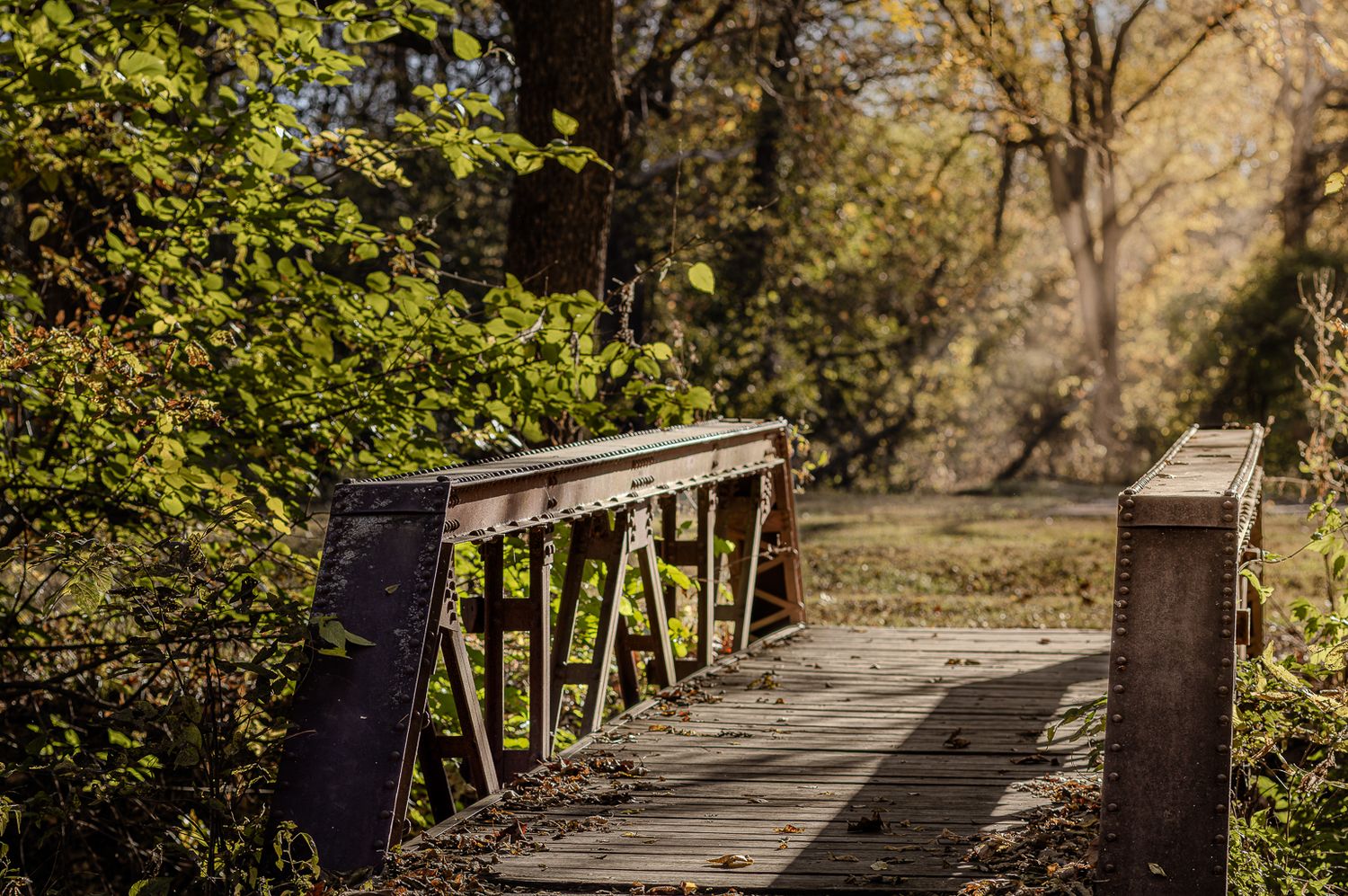 A wooden boardwalk trail winds through autumn trees and foliage in a natural park setting.