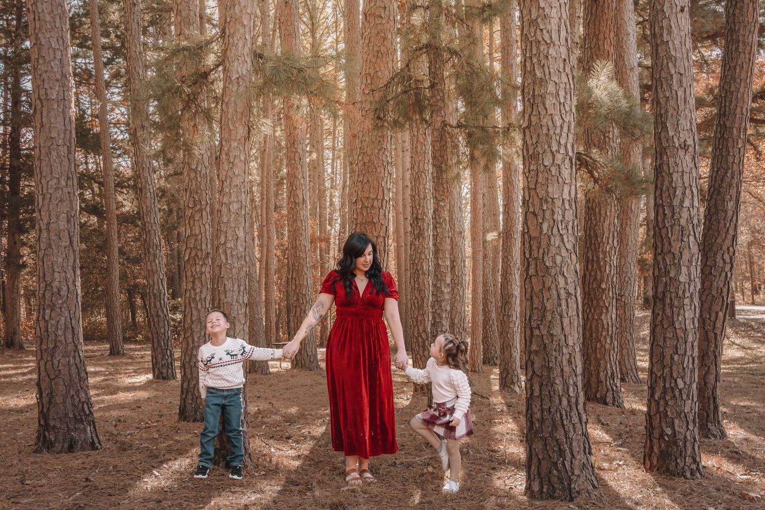 A group of people walk through a serene pine forest with sunlight filtering through tall tree trunks.