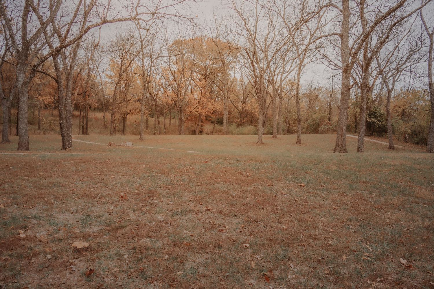 Panoramic sequence of six aerial views showing a dry autumn landscape with scattered bare trees and brown vegetation.