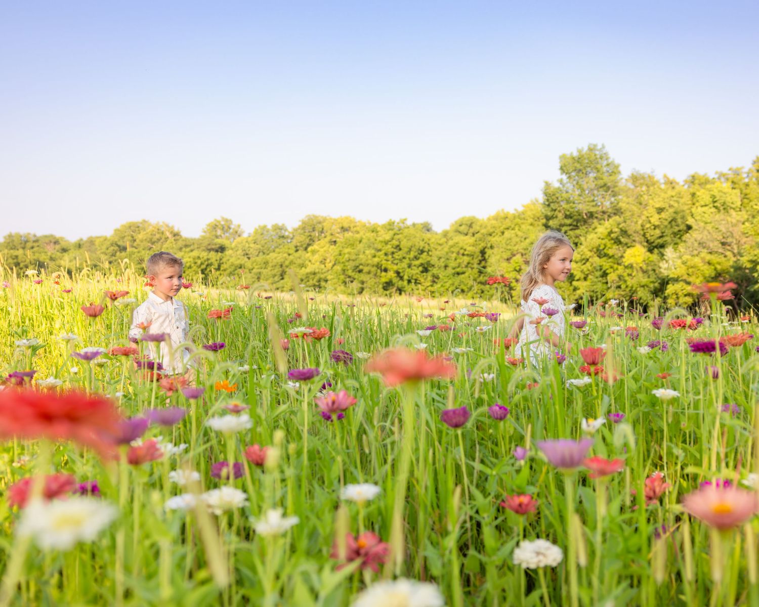 Two children walk through a vibrant wildflower meadow with colorful blooms and lush green trees under a clear blue sky.
