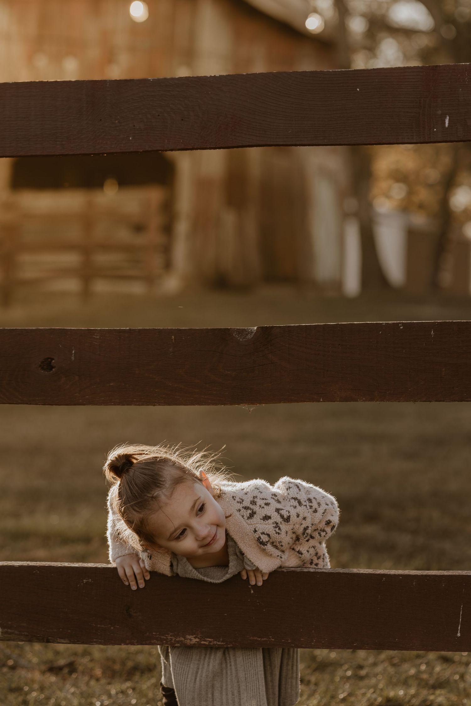 A playful moment captured through wooden fence slats in warm sunlight.