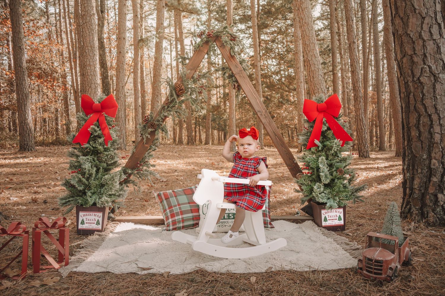 Rustic winter holiday photo setup in a forest with plaid blankets, small Christmas trees, and red bows.