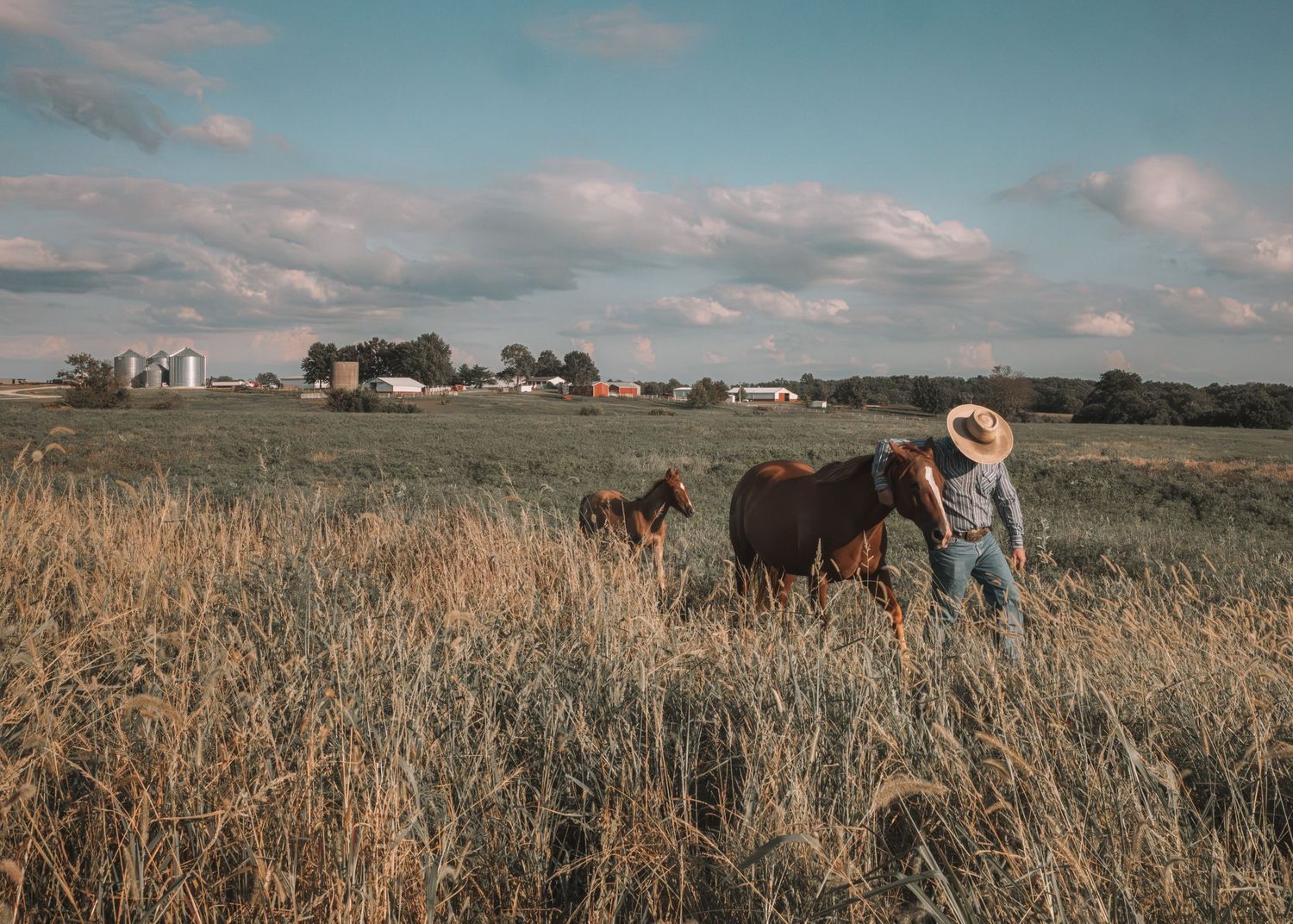 Farmer in straw hat walking with horses in tall grass field, farm buildings visible in background.