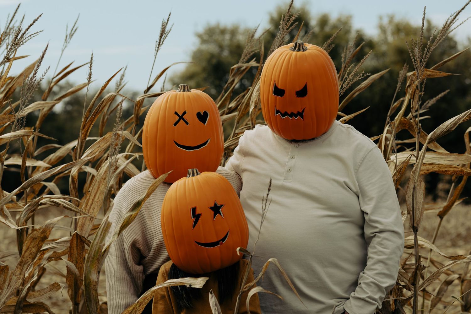 Two people in a cornfield wearing carved jack-o-lanterns on their heads for Halloween.