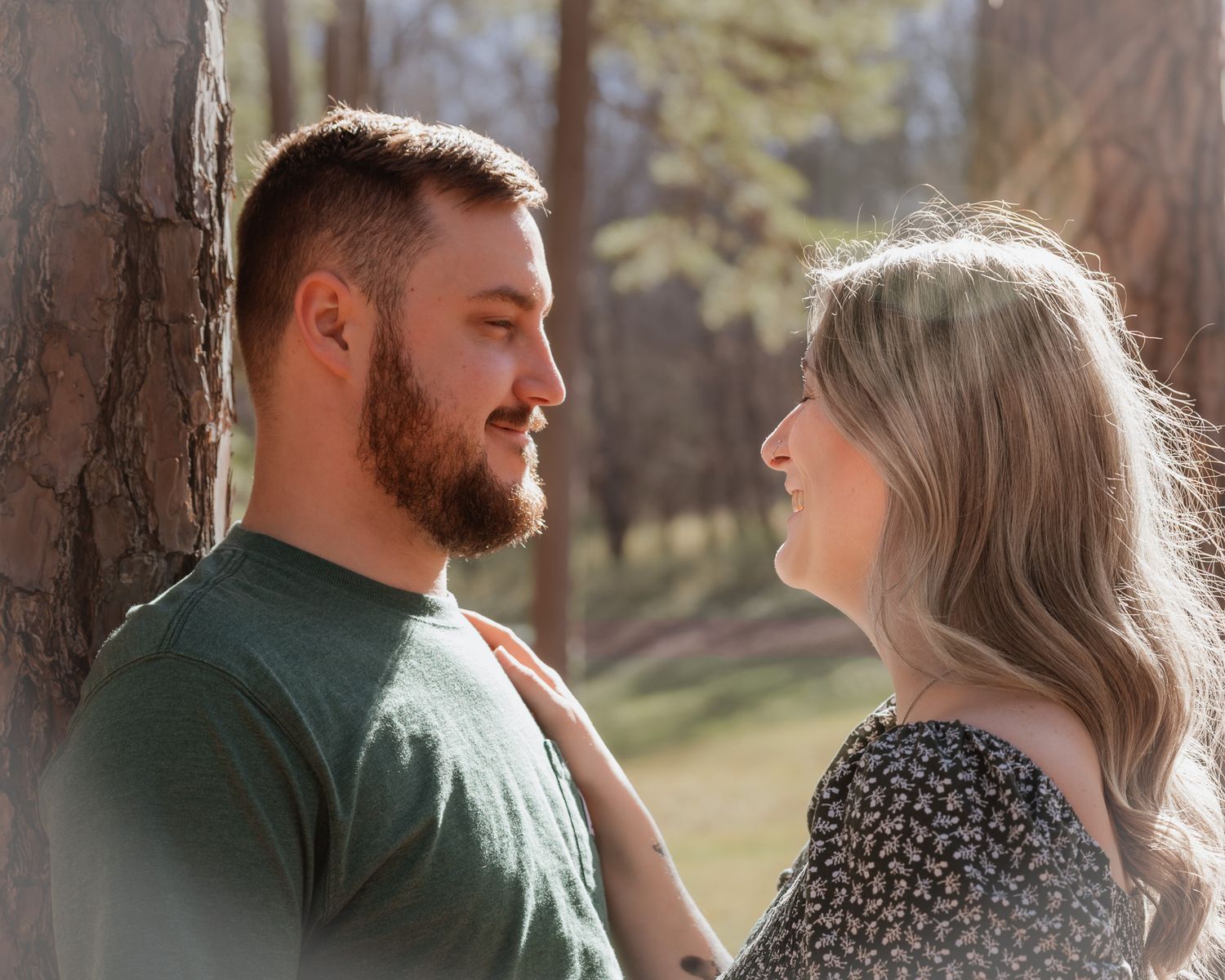 Intimate couple's portrait session among pine trees in warm afternoon light.