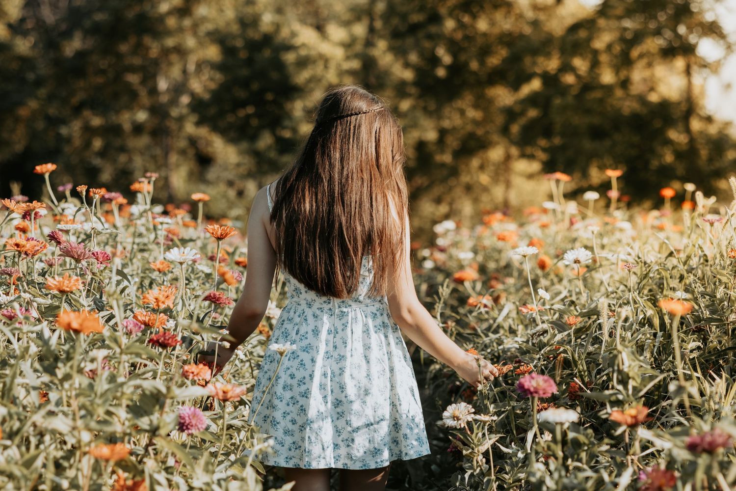 A person in a polka dot dress walks through a meadow of orange and red flowers at sunset.