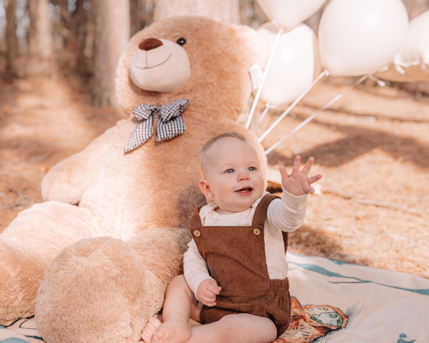 A baby in brown overalls sits on a blanket outdoors with plush toys and natural surroundings.