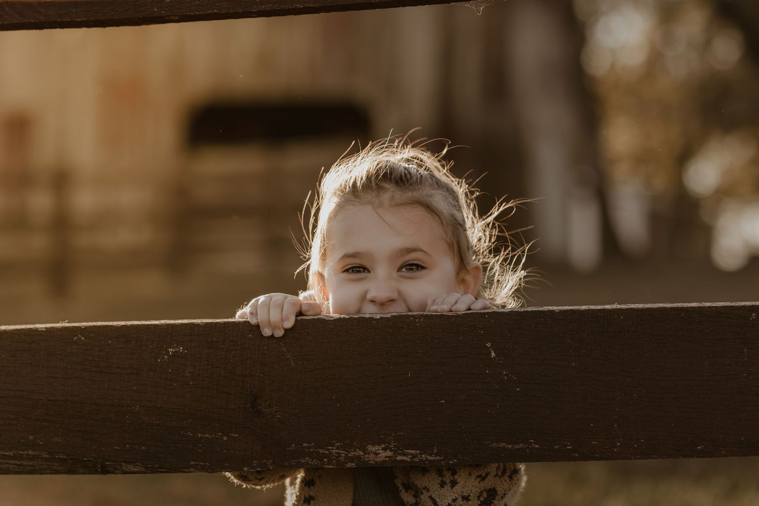 Close-up shot of wooden railing with soft bokeh background in warm sepia tones.