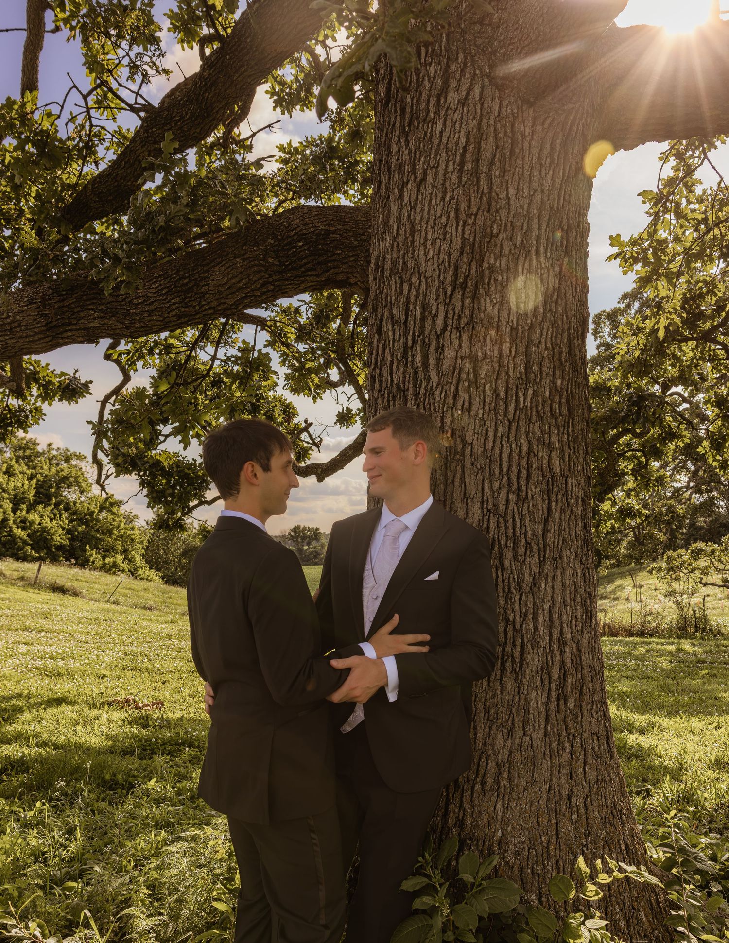 Two grooms in black tuxedos share a romantic moment under a sunlit oak tree outdoors.