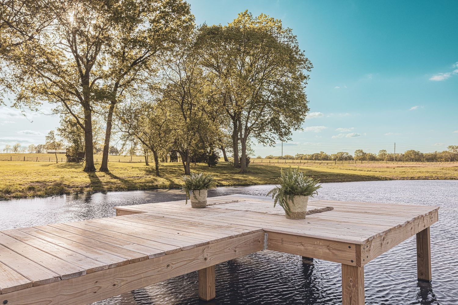 Wooden dock extending over calm water surrounded by lush green trees and open fields under a bright blue sky.