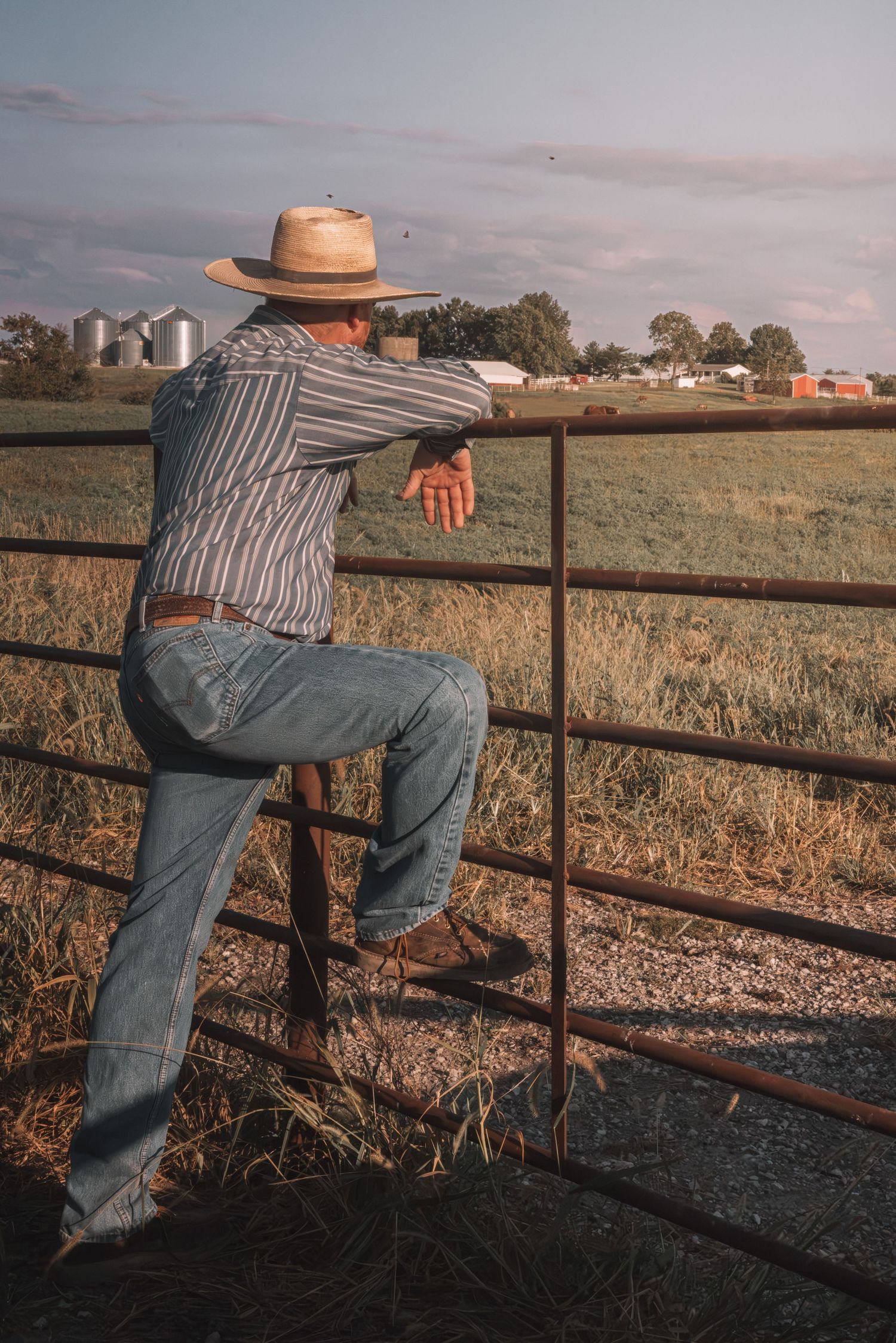 A cowboy in a straw hat and jeans leans on a rustic metal farm gate overlooking a green pasture at sunset.