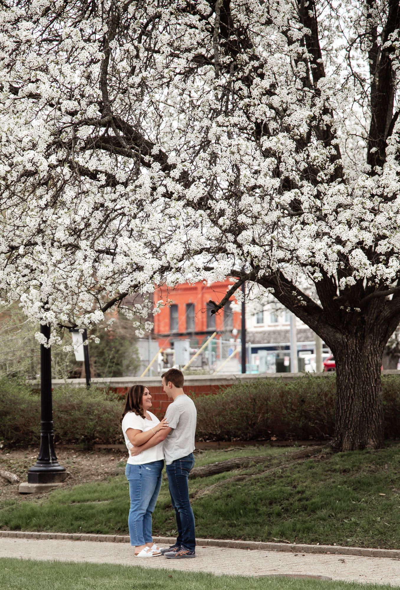Couple embracing under blooming cherry blossom tree in spring.