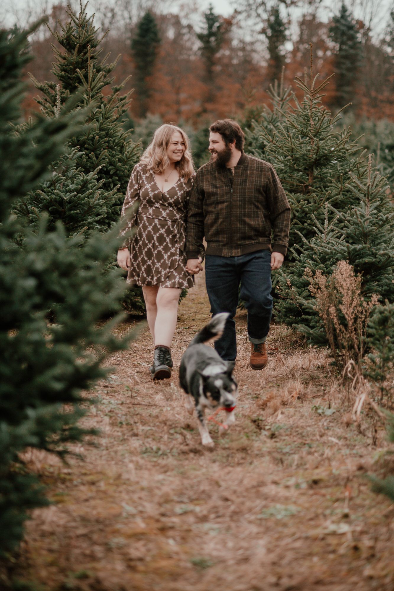 Couple walking with their dog through a Christmas tree farm path.