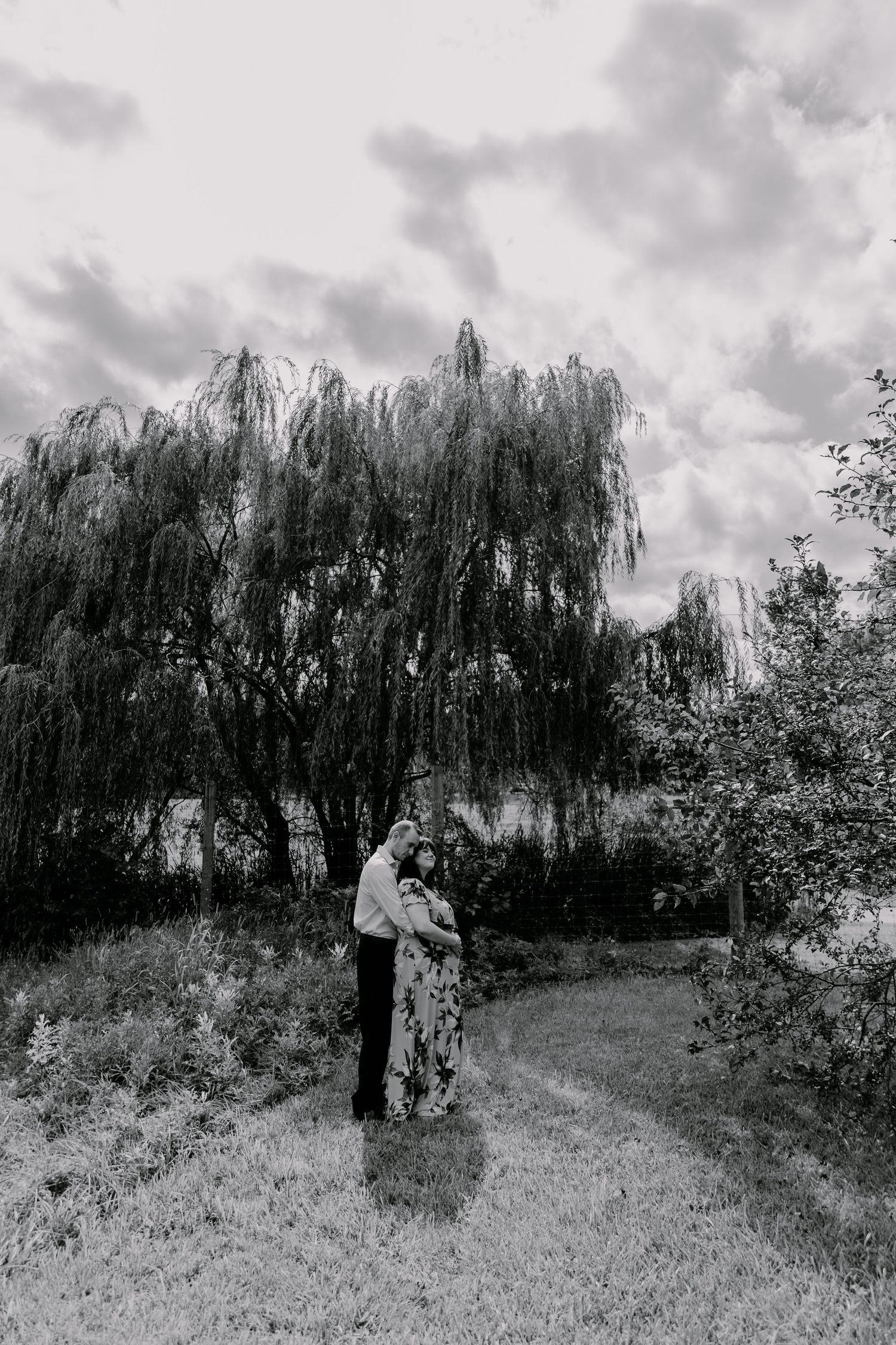 Four black and white vintage photographs showing weeping willow trees in a meadow setting with cloudy skies.