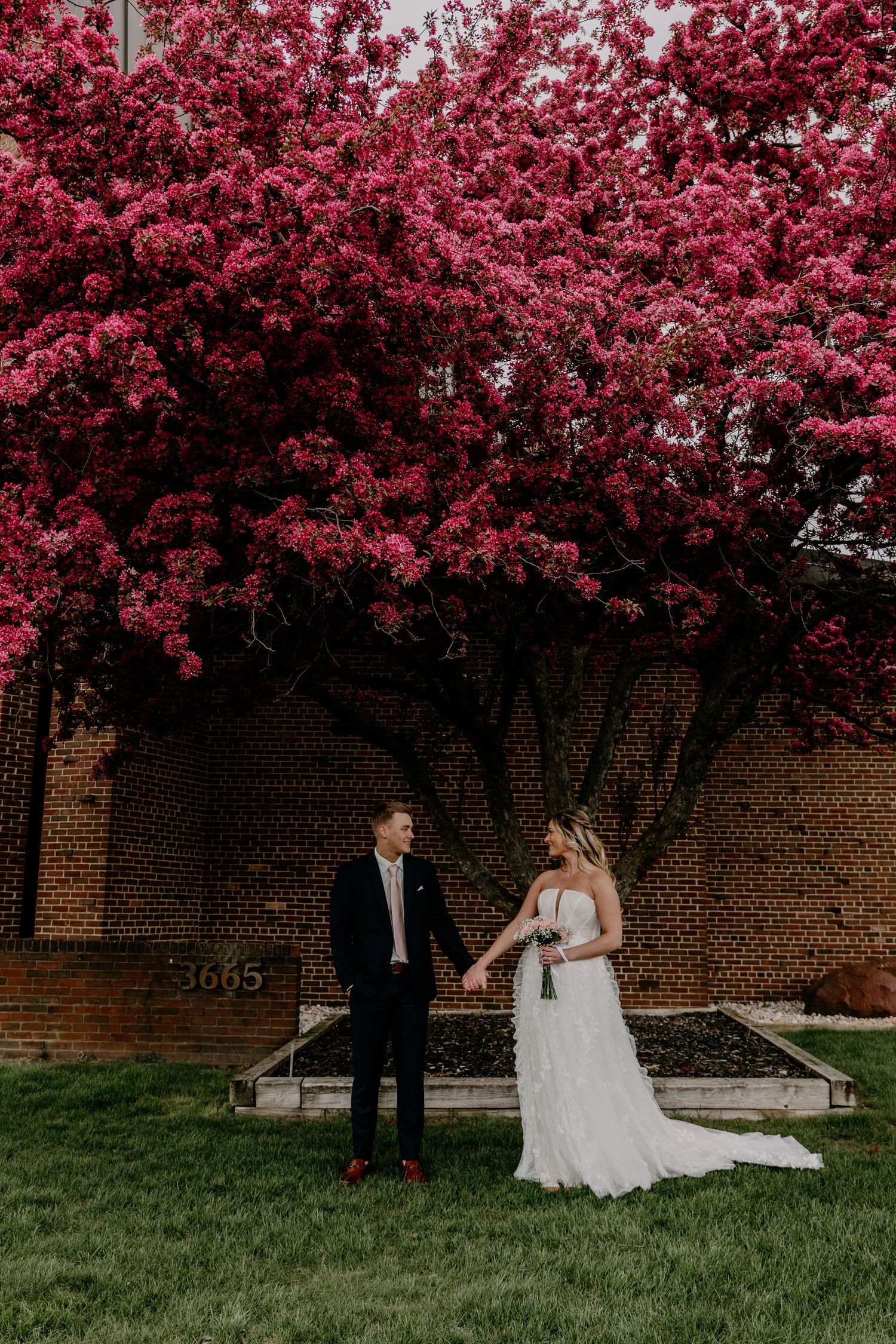 Bride and groom hold hands under a stunning pink flowering tree beside a brick building on their wedding day.