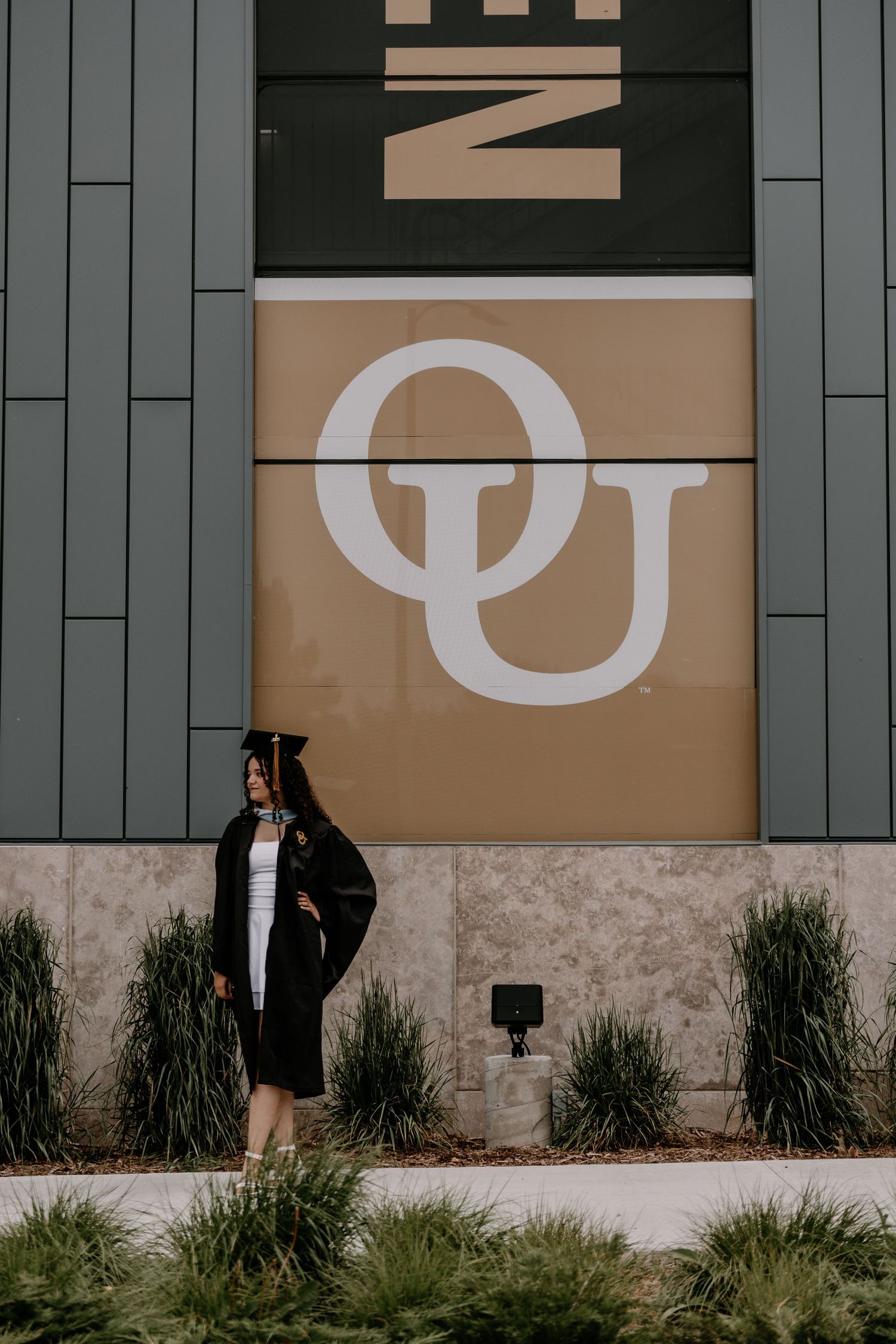 Large typographic display of letters on a beige wall with decorative grasses planted along the base.