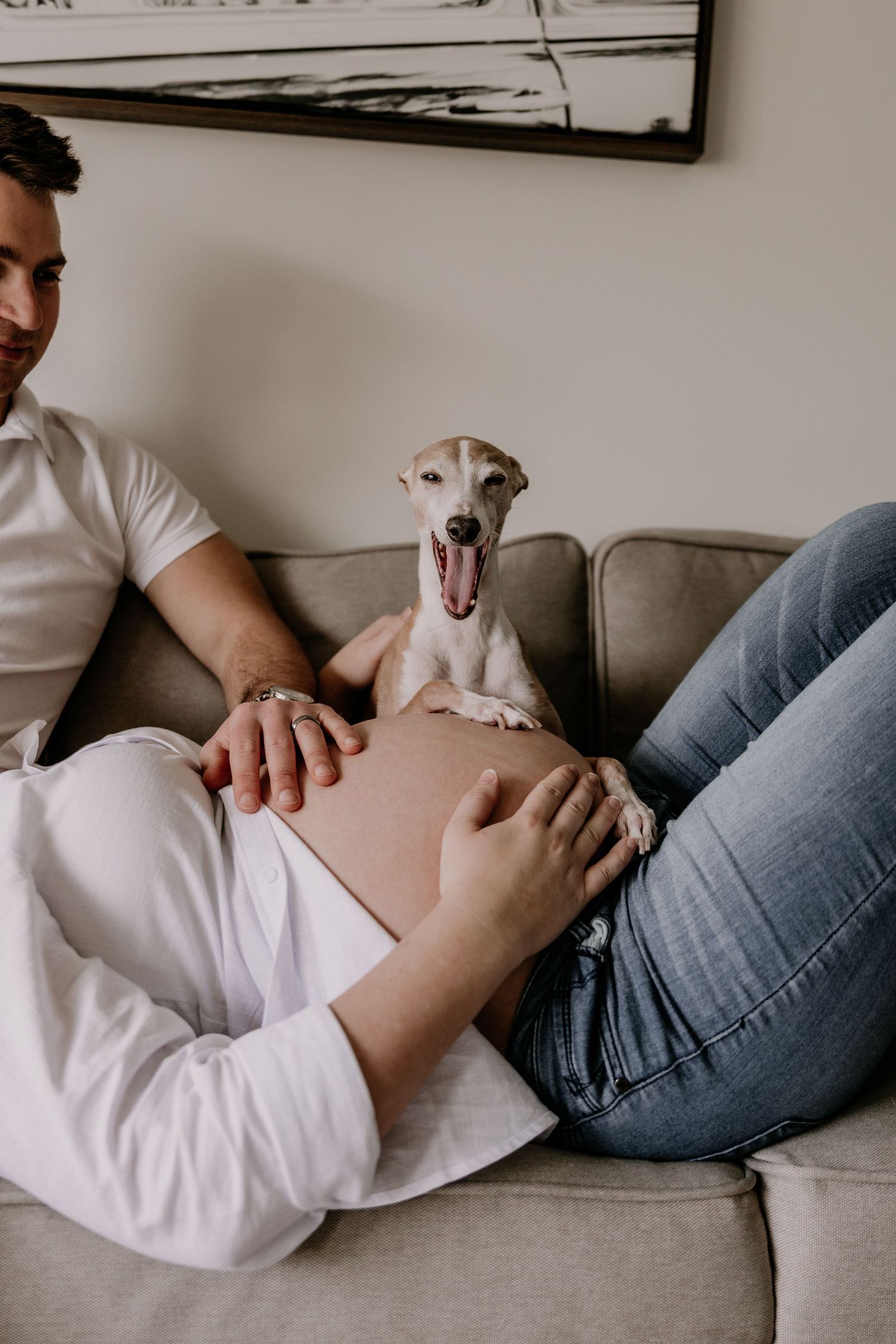 Pregnant woman lying on couch with partner and excited dog resting paws on baby bump during maternity photo session.