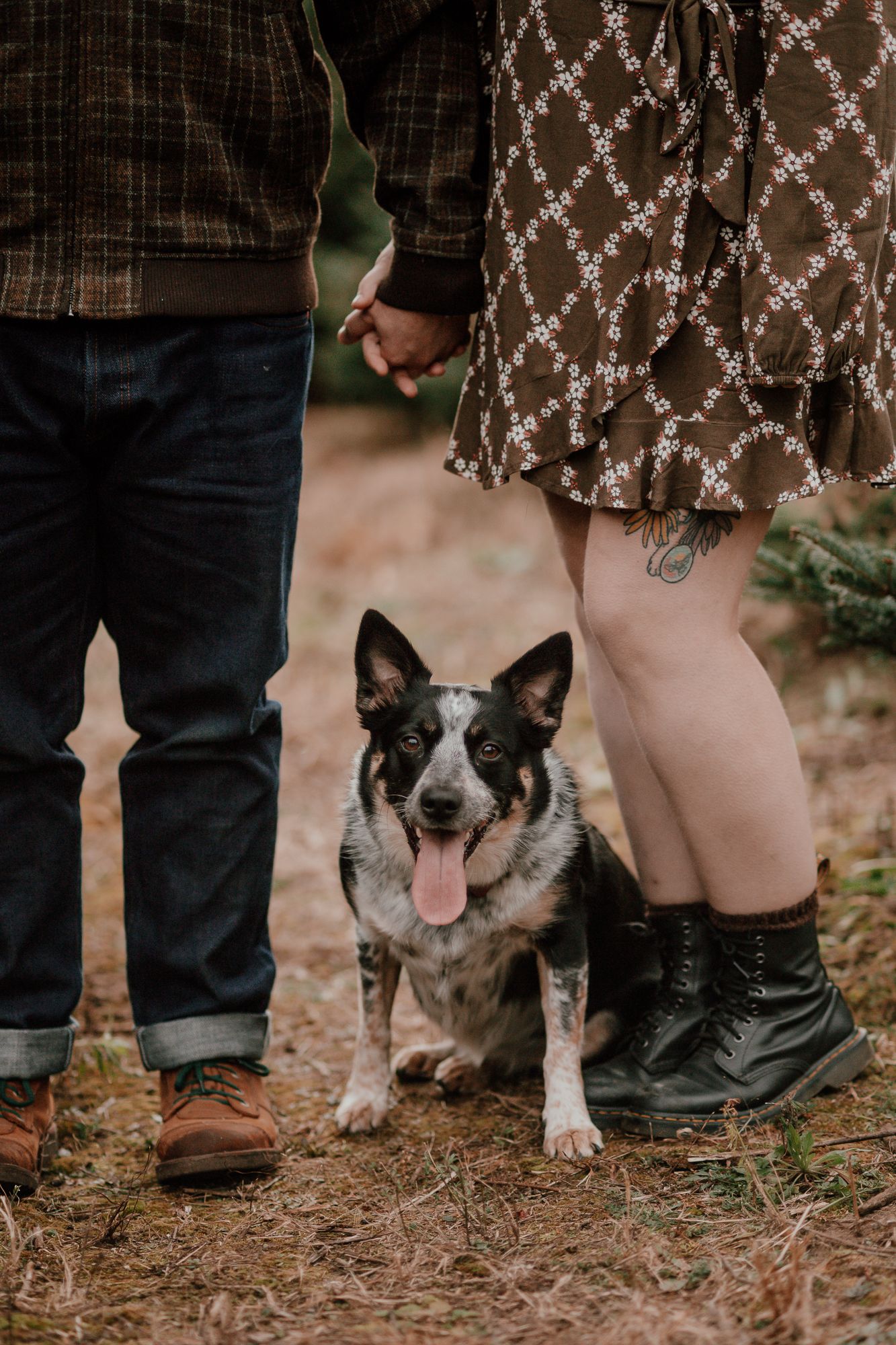 Happy dog sitting between two people's feet at a Christmas tree farm.